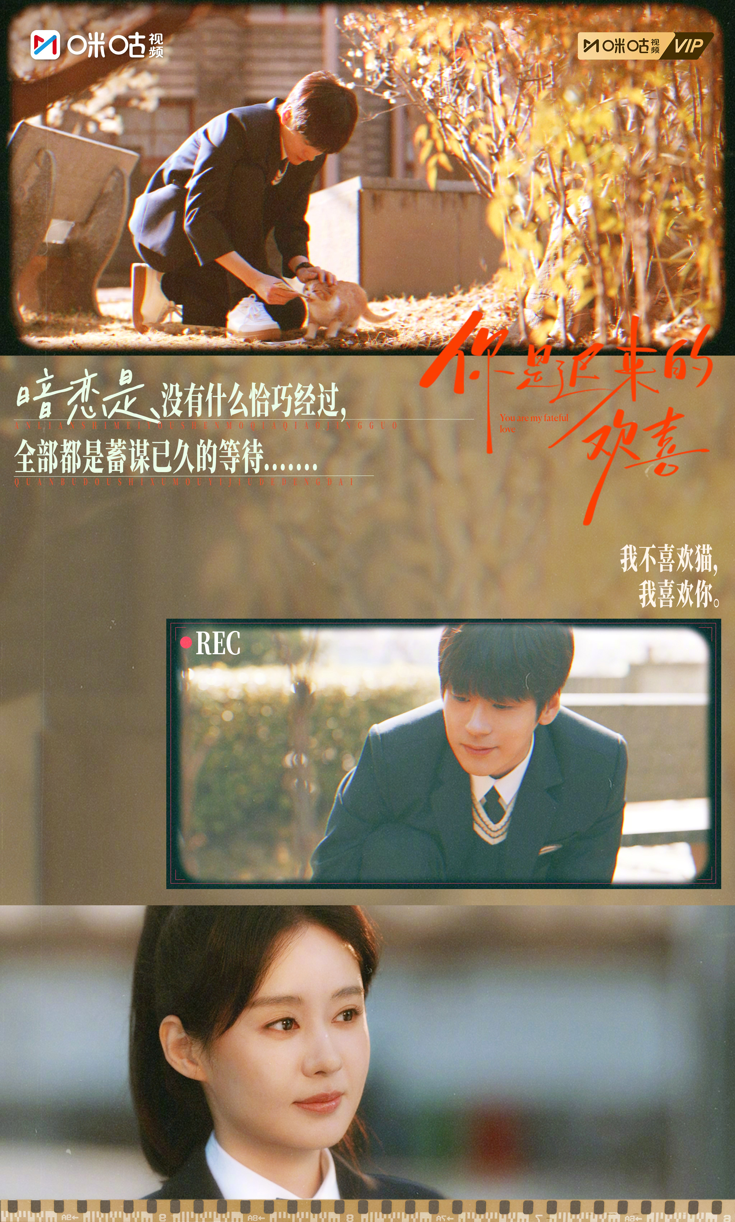 #上咪咕看你是迟来的欢喜# 【怦然日记本】#你是迟来的欢喜暗恋进度条# 和你一起