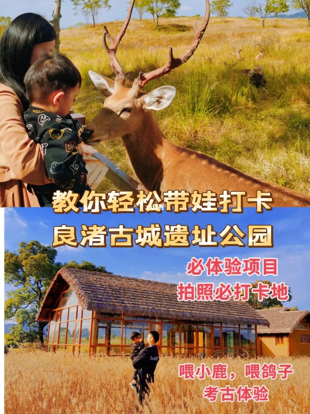 杭州溜娃/这里不是奈良，这里是杭州良渚