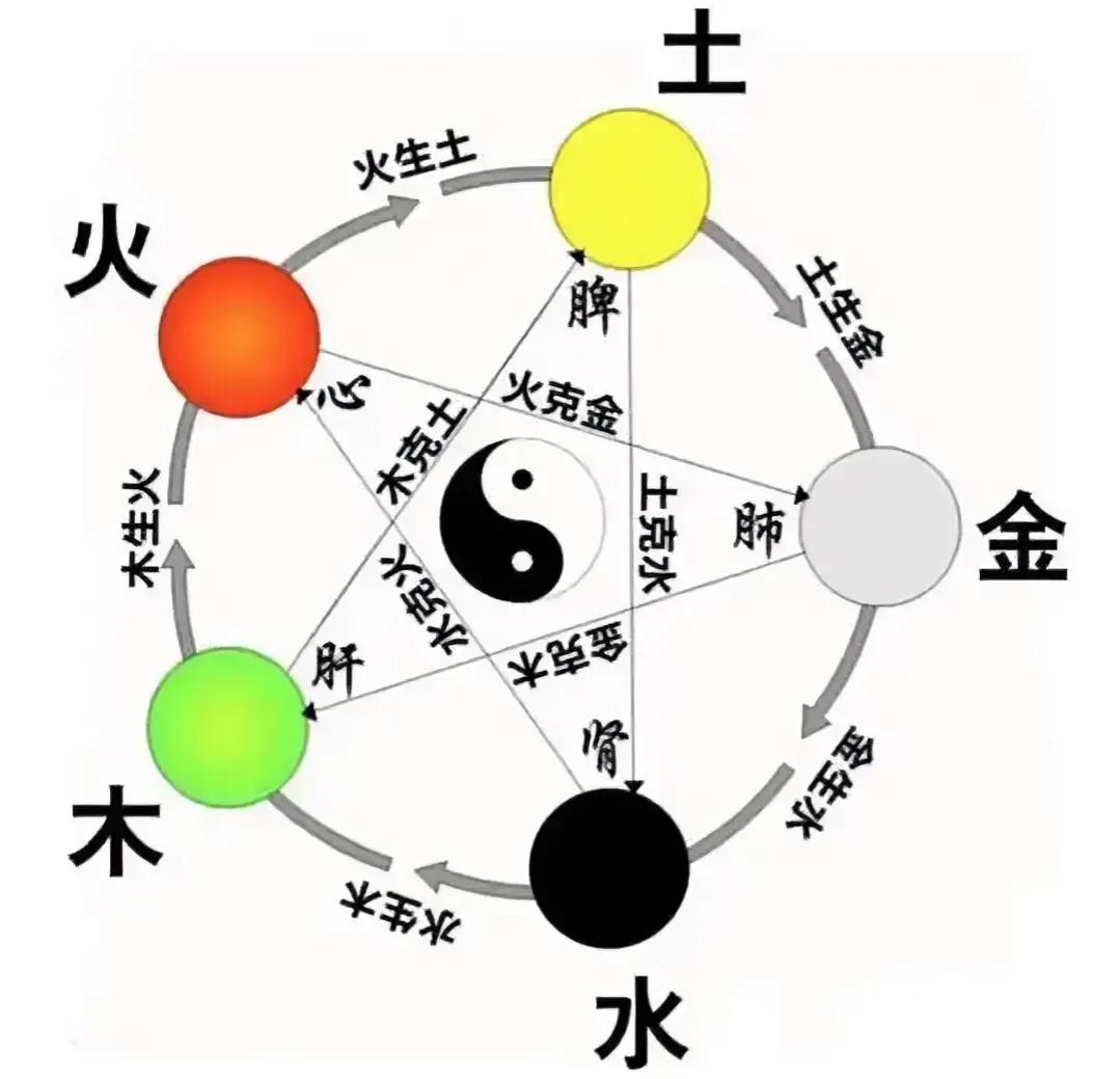 中医常说“虚则补其母”，这是什么意思呢？今天就来给大家揭秘这一神奇的中医智慧。
