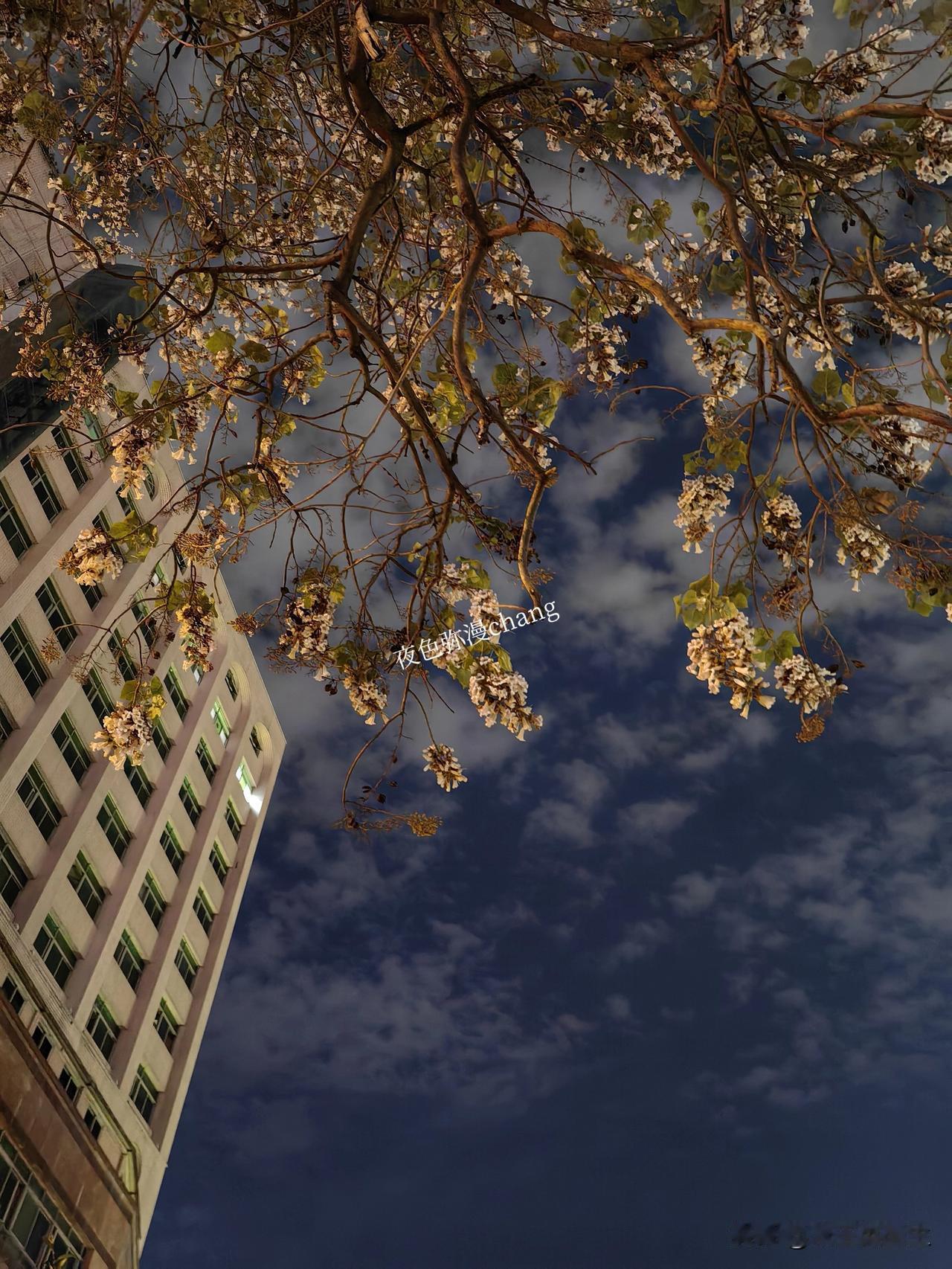 分享一张夜景照片