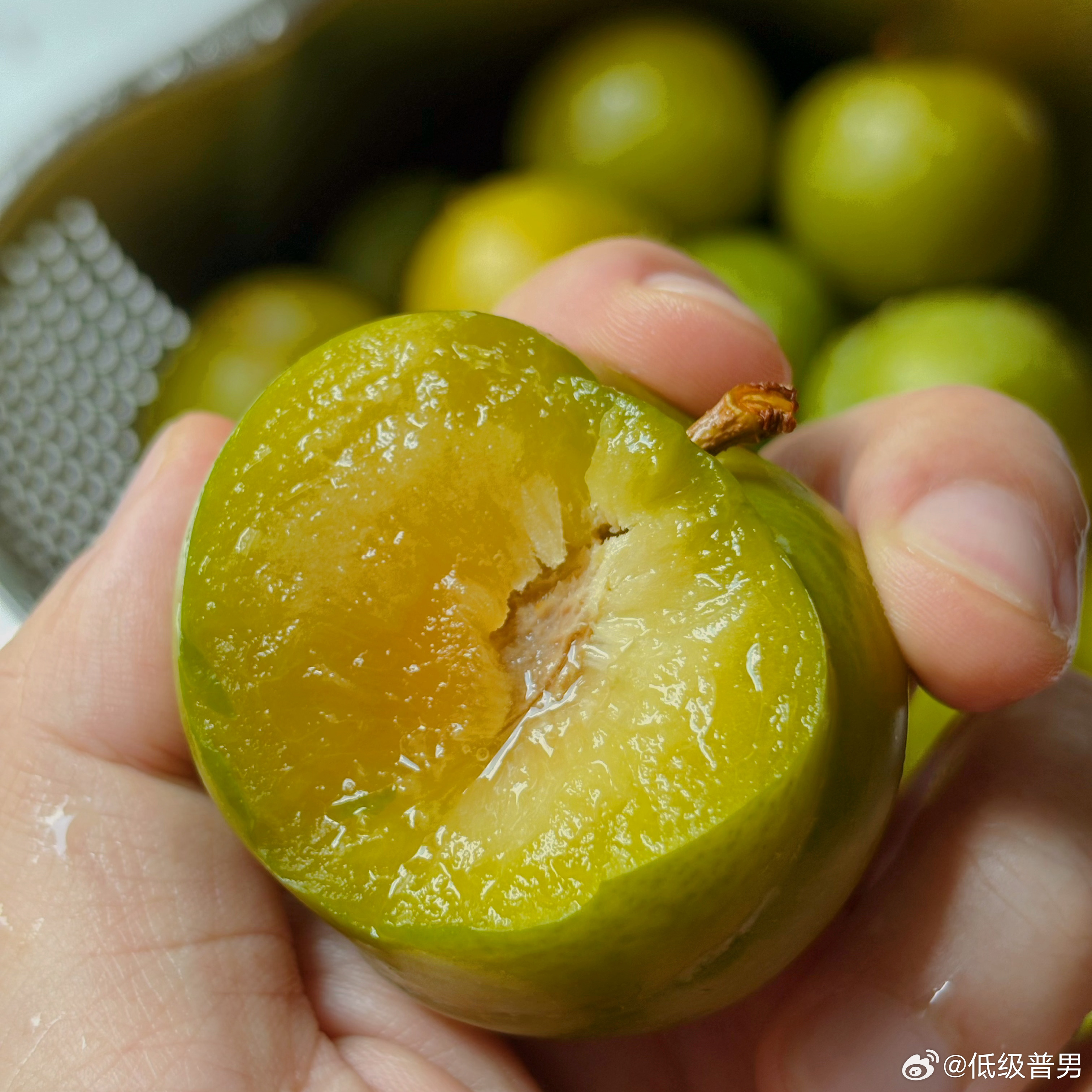 四川最好吃的李子来啦！甜抿抿，试了好几家，超级好吃的蜂糖李上啦！（最后选了图一 