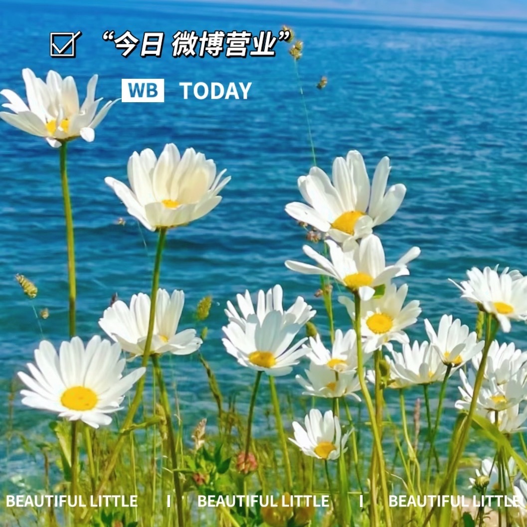 森林驿站 生活不是赶路，而是来感受世间的美好，每一个清晨的日子里，不徐不疾，笑对