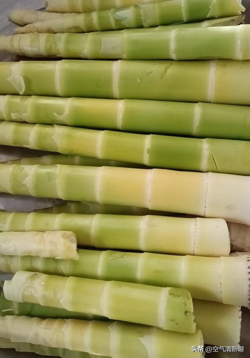 有人挖野菜，有人摘香椿芽，有人摘榆钱，有人摘花椒芽，
今看到一个人背着小书包，在