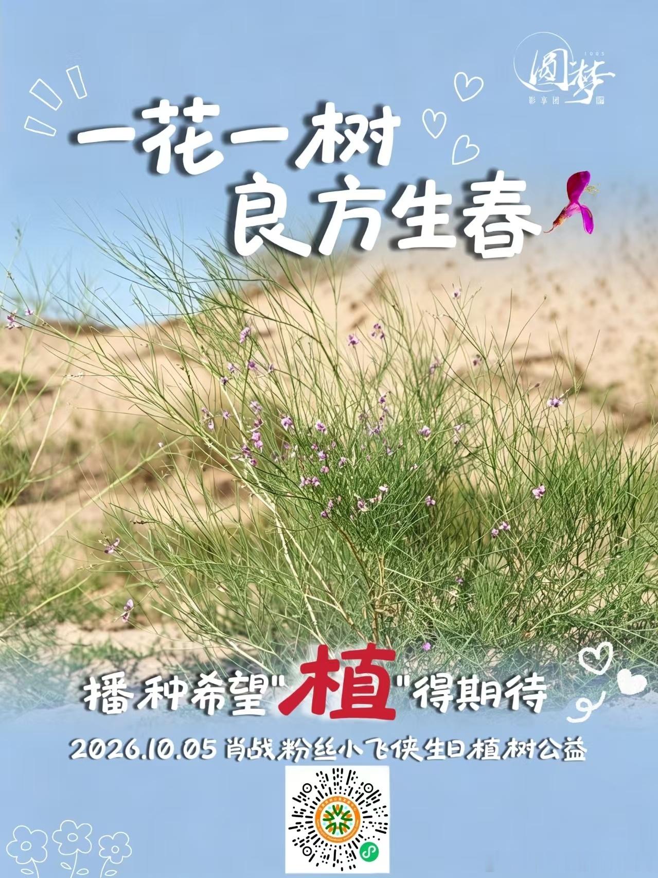 肖战肖战公益一路有你 xz 肖战粉丝公益倡导 圆梦城市计划｜甘肃民勤植树公益  