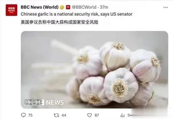 中国能用大蒜打倒美国吗？
要是能的话，那就太好了……
说起来，美国的政客们可能学