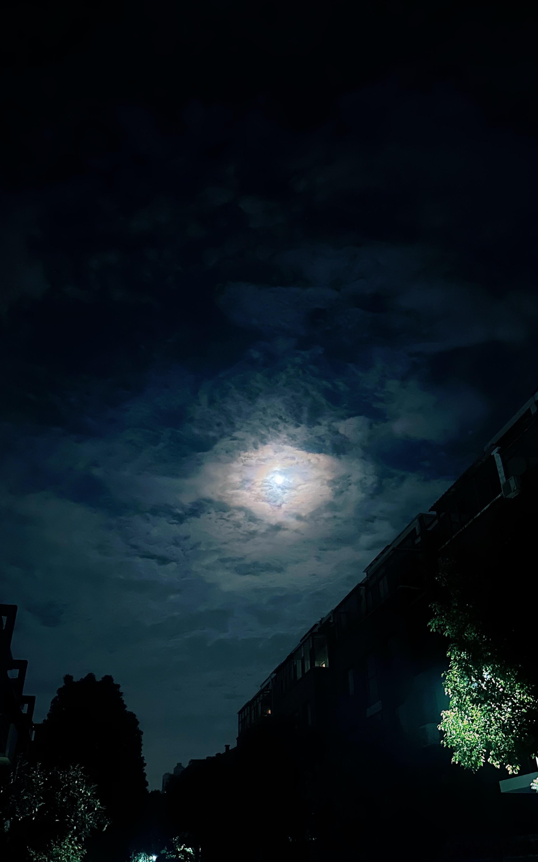 日常分享我的日常plog 好美，停下来记录一下[可爱] ​​​