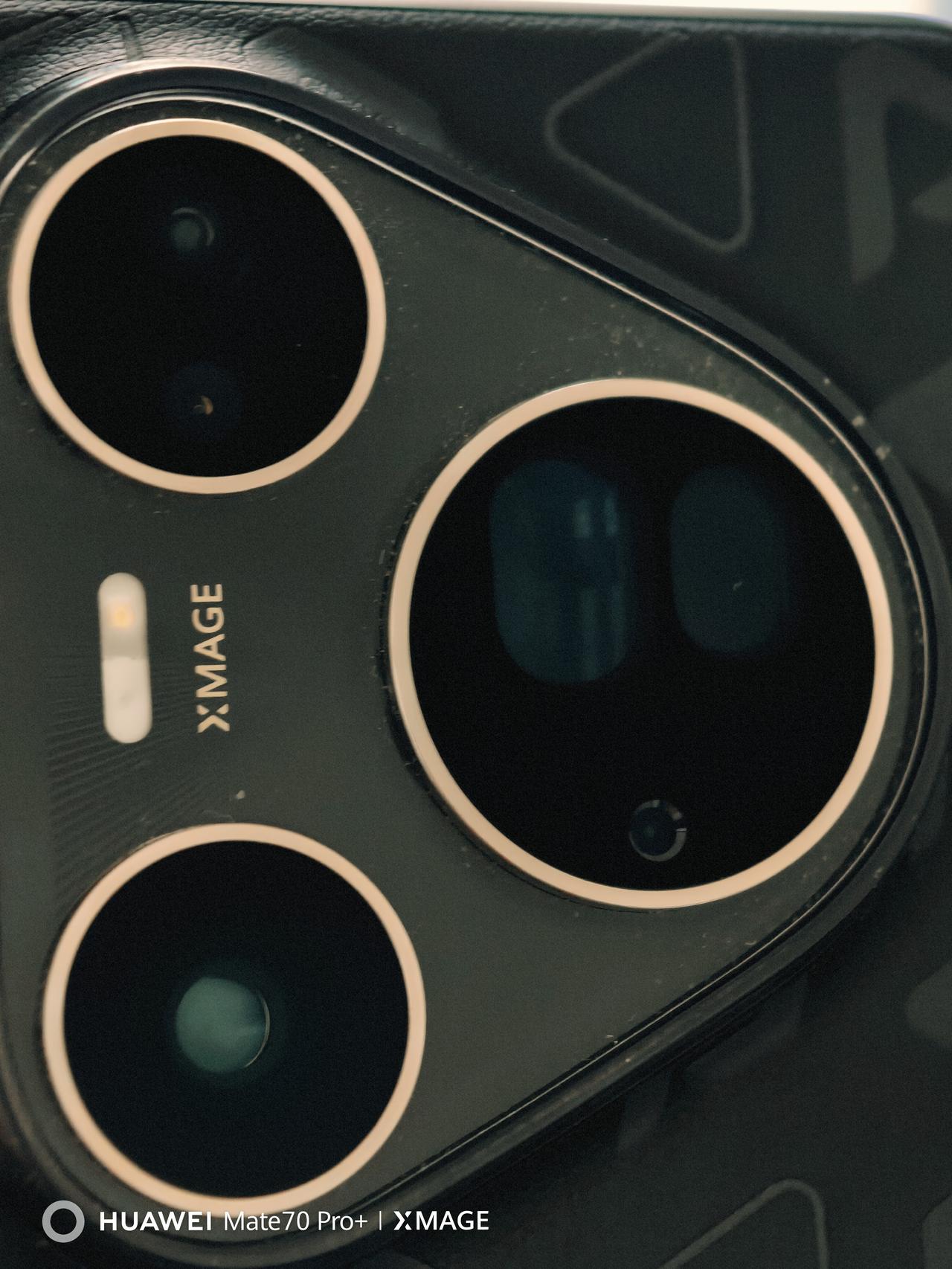 Pure80ultra一镜双目 真出片啊。
《菜地里的诗》
🌱
观澜河湿地公园