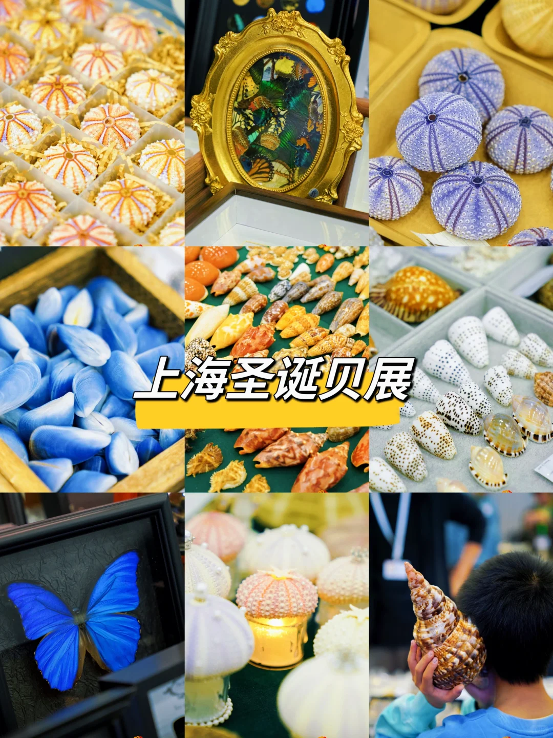 上海遛娃｜12月再添惊喜❗❗️免费贝展带娃探秘