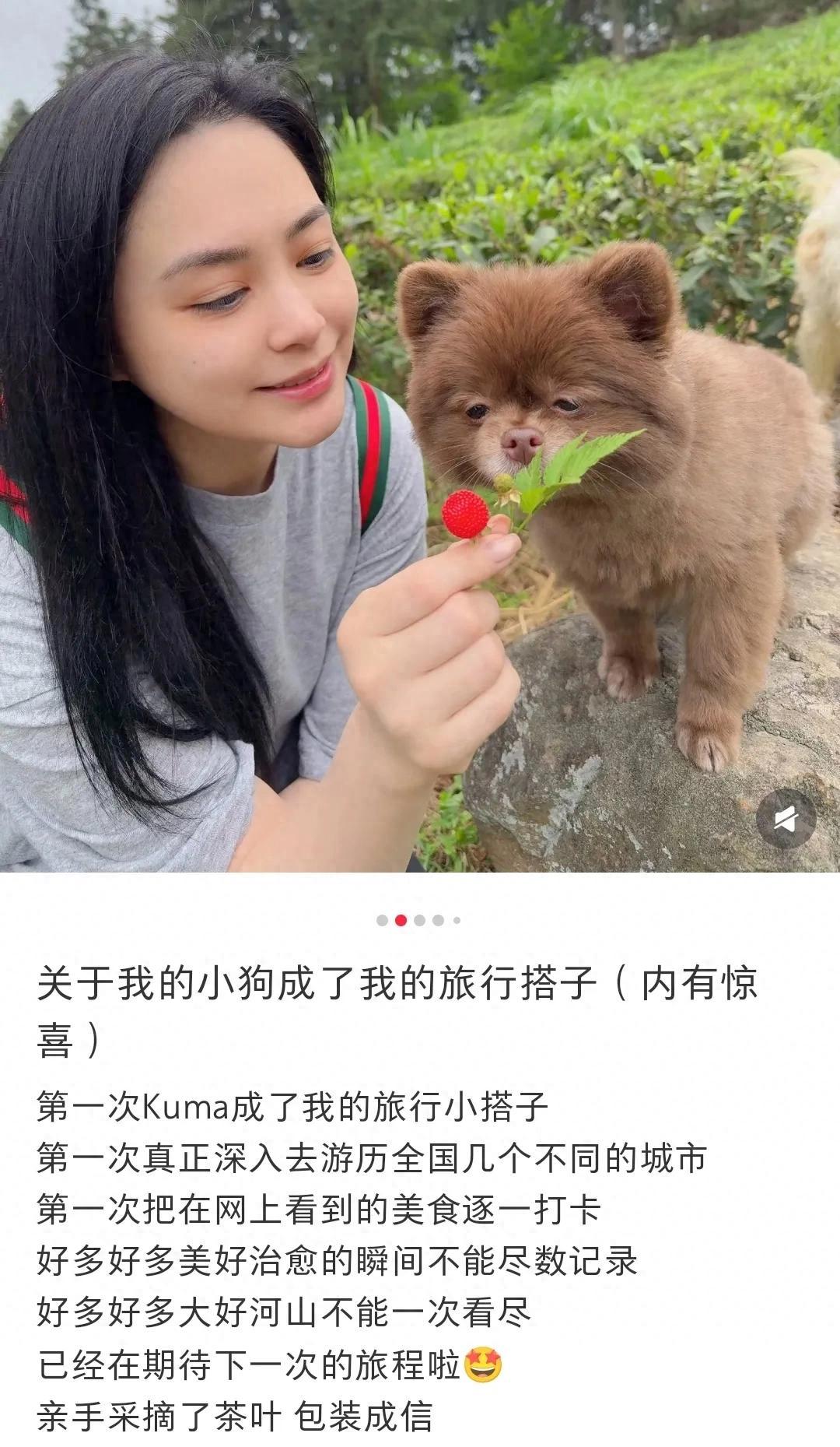 44岁阿娇五一撒欢，素颜采茶美成“纯欲天花板”！
家人们，娱乐圈又来新鲜事儿啦！