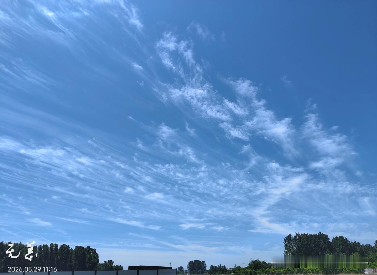 明天又又又周六了，又到了去给公公分药的日子。
周一队友带着公公去复查，指标还不错