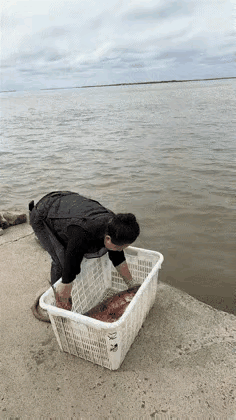 碰到好人了，来生做蒸鱼、炖鱼、炒鱼给你吃
