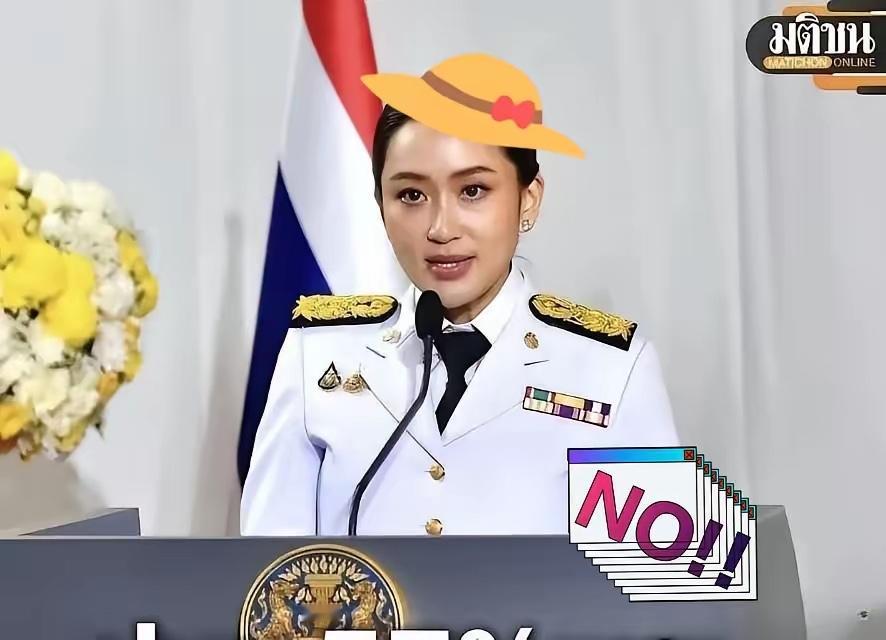 就在刚刚
泰国总理宣布了
11月10日，泰国总理阿努廷突然宣布，将暂停执行与柬埔