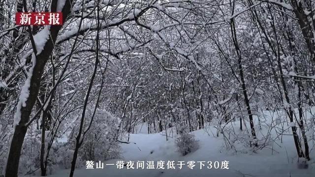 可别再任性了.敬畏大自然吧......“赌命爆款”，全景还原鳌太线穿越悲剧｜重建