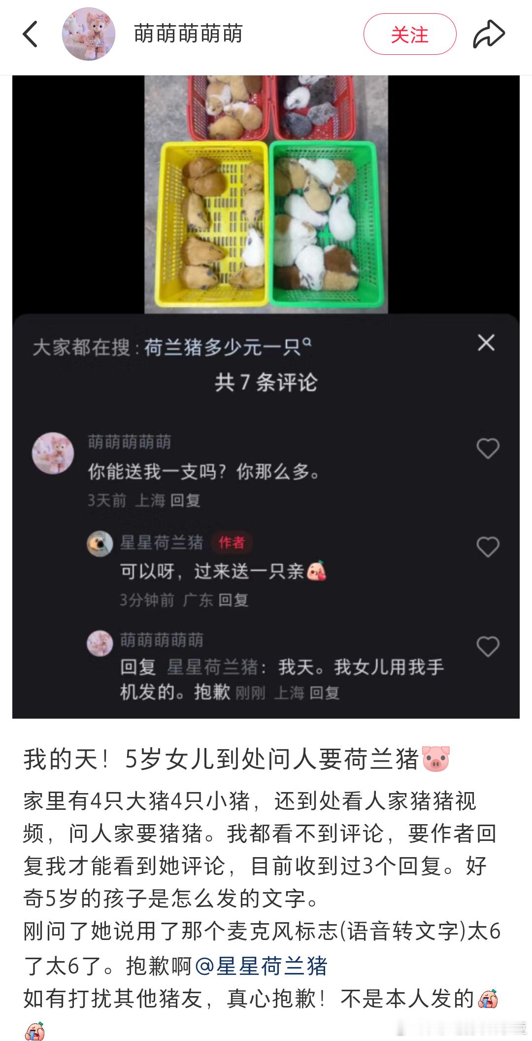 网友5岁女儿在网上到处问人要荷兰猪，原本以为是妈妈不给买，谁知道是小朋友家里已经