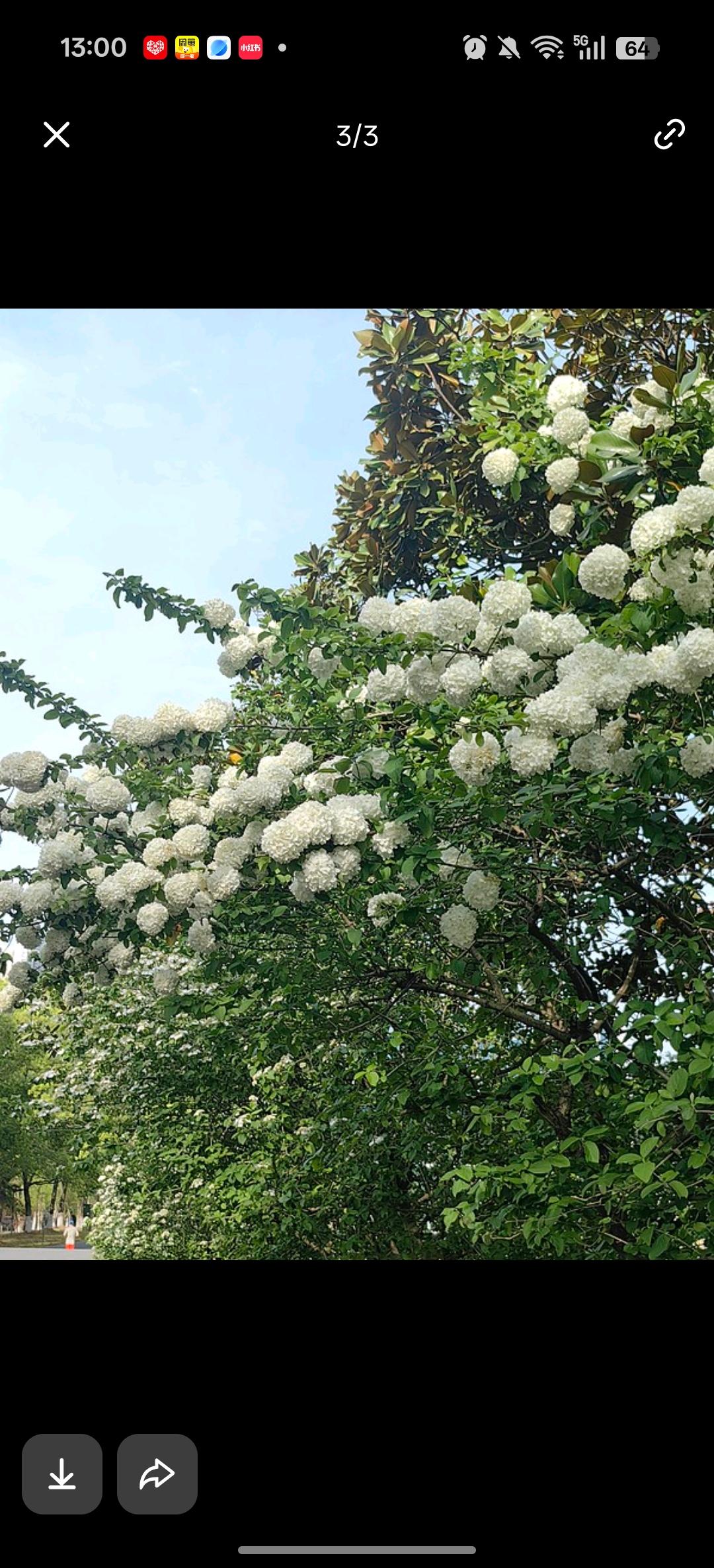 春风一吹，烦恼后退
日子慢慢过，快乐天天有
不负春光，认真生活☀️