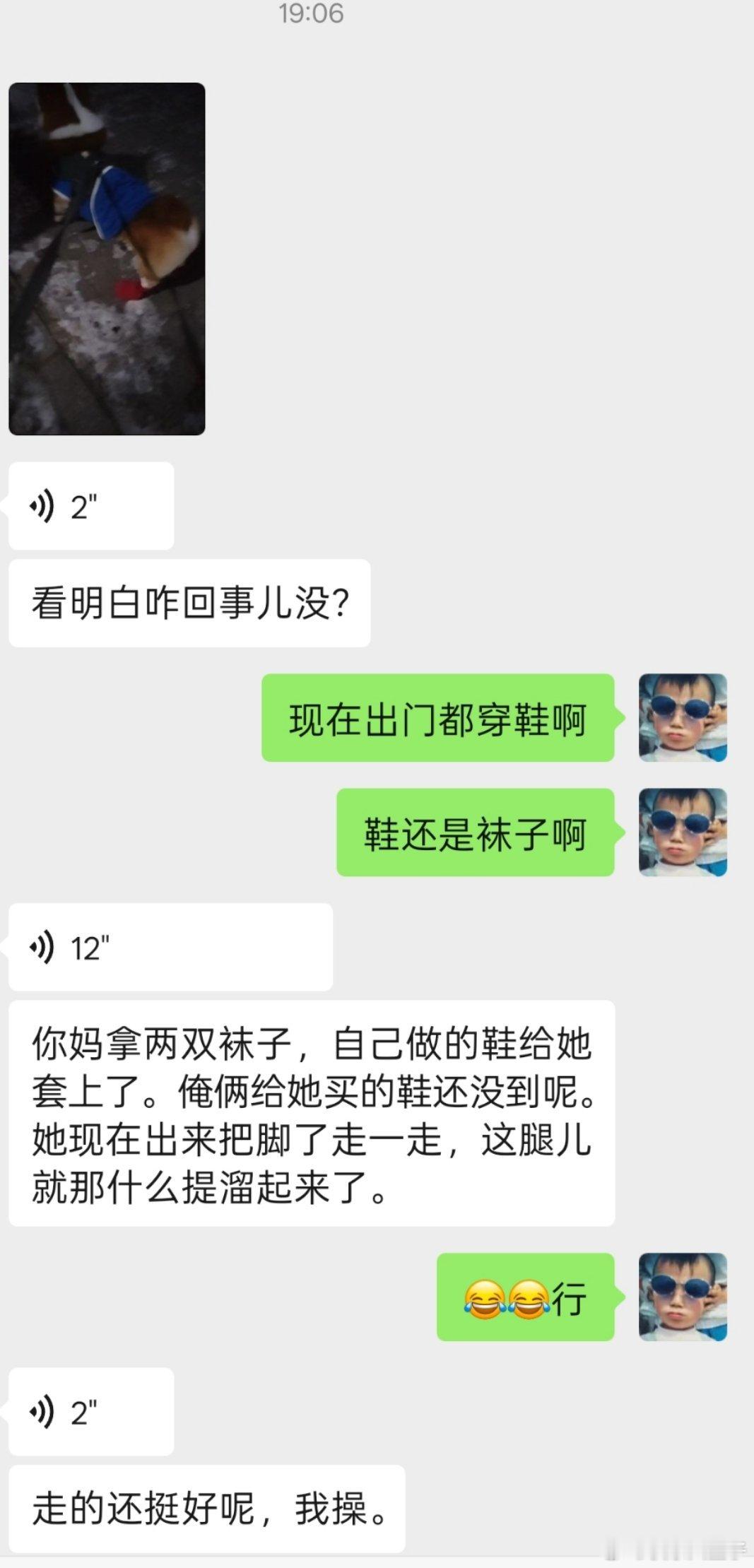 今年本溪比往年冷，Joker出门冻脚底板，出去走走就往起抬。我妈买的柯基鞋子没到