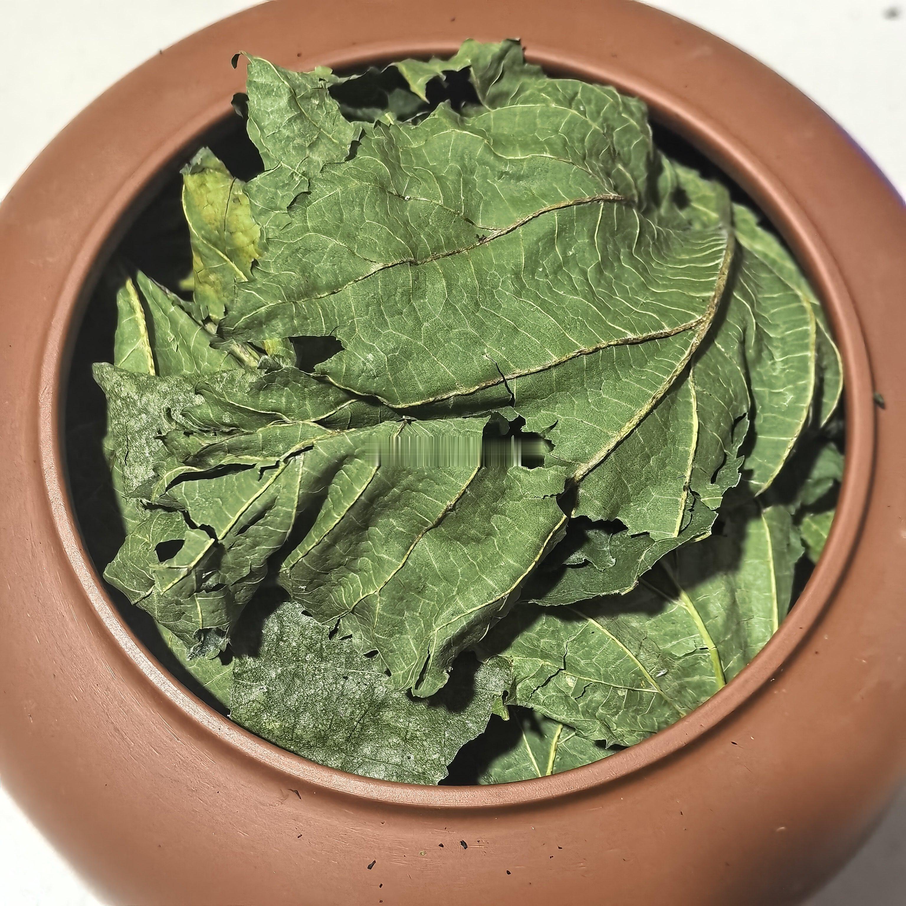制作淡豆豉，一次发酵已经结束，晾晒好后，筛并且清洗，装罐，放桑叶，盖盖子，密封，