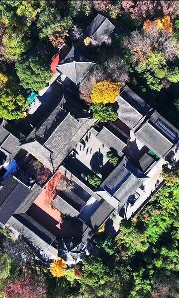 🔥杭州玉皇山｜仙境级徒步路线！俯瞰西湖+探秘千年皇宫遗址！
🌿杭州冷门宝藏！