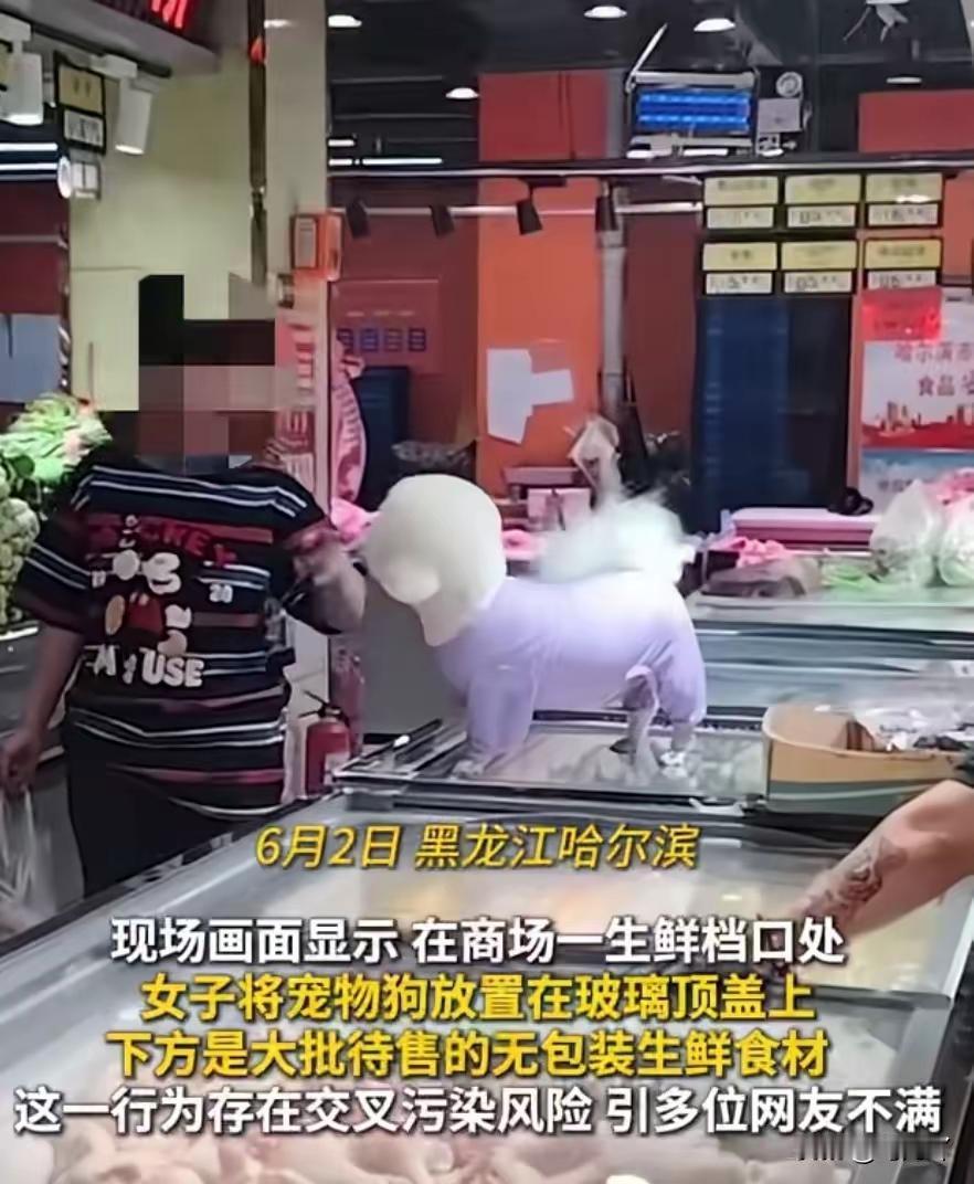 文明养狗，就是一个伪命题，把“文明”与“养狗”合在一起，与把“恶意”与“讨薪”结