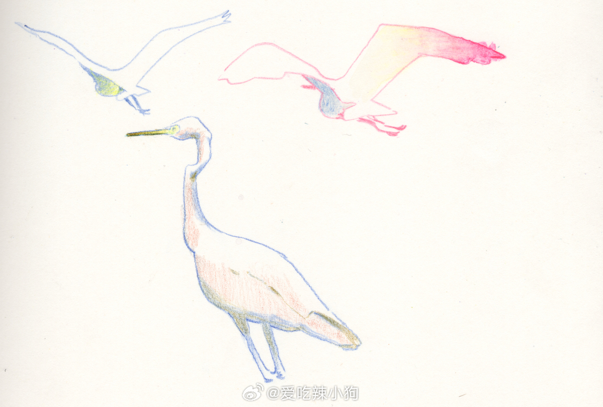 分享图片 