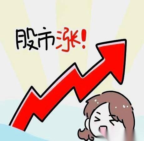 湖南白银这只票，算是把“绞肉机”三个字给演明白了。
开盘，一秒钟犹豫都没有，直接