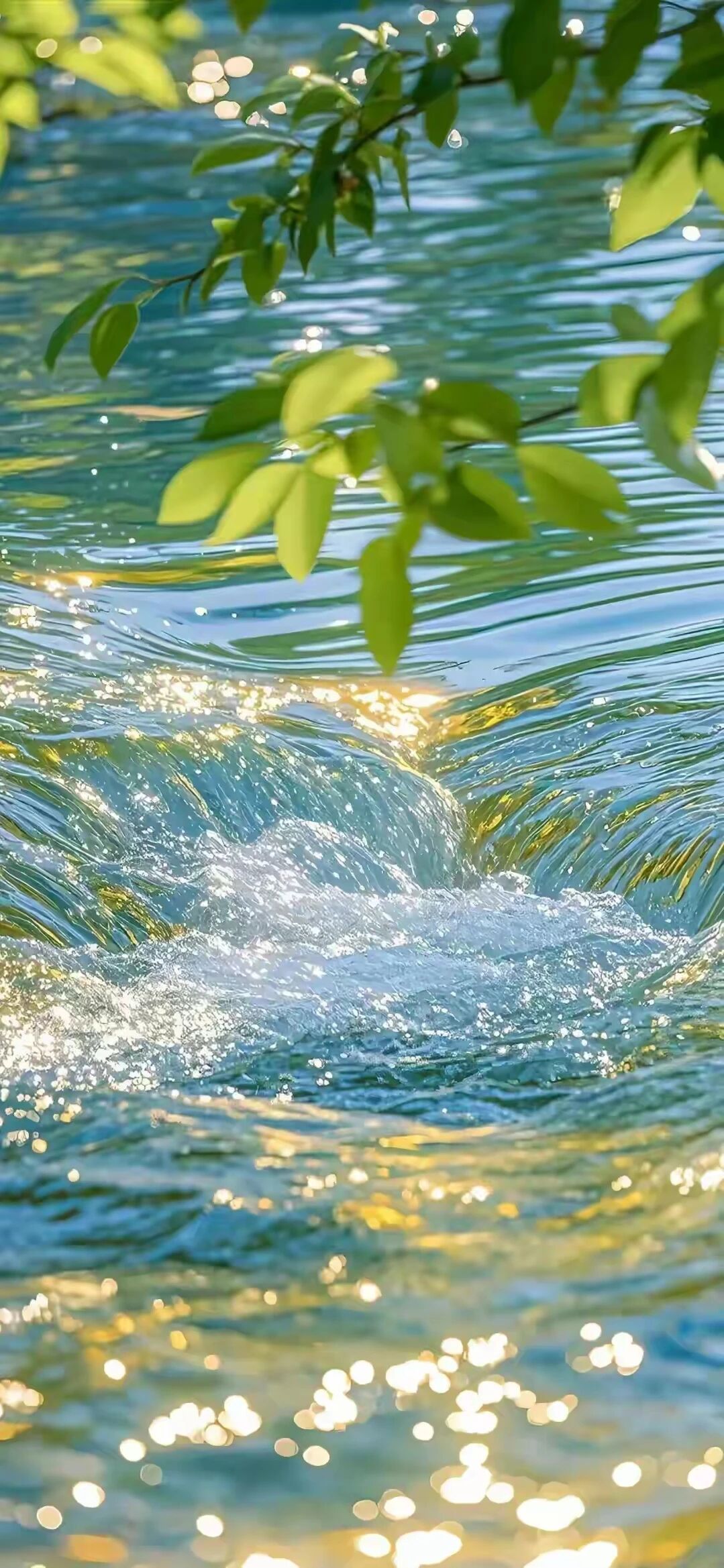 丙午年甲午月庚午日补补水吧可长期用壁纸桂霁月