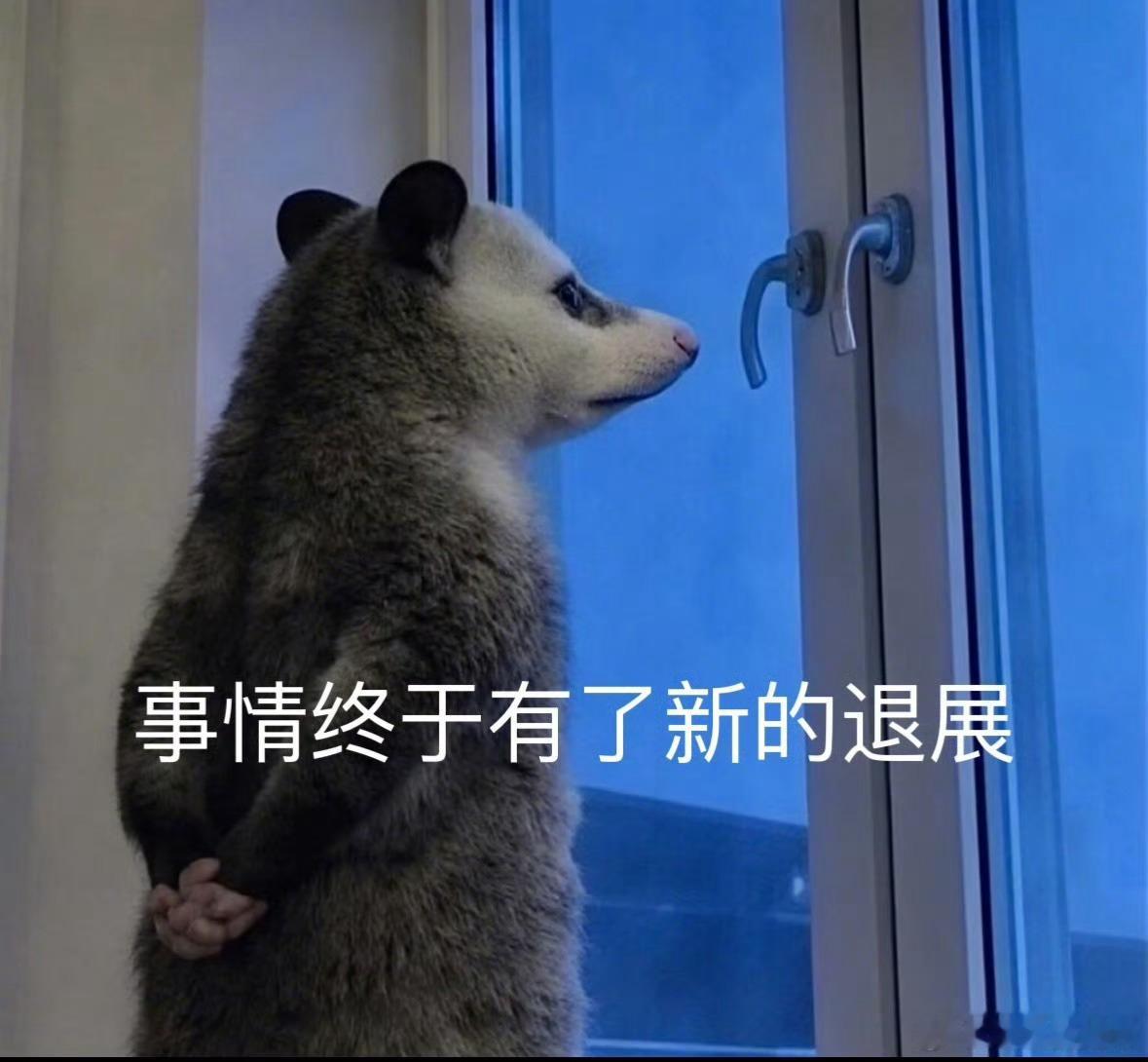 宋威龙张婧仪也是双向癫赴上了很难不笑，负鼠表情包和这部剧适配度直接拉满！宋威龙张