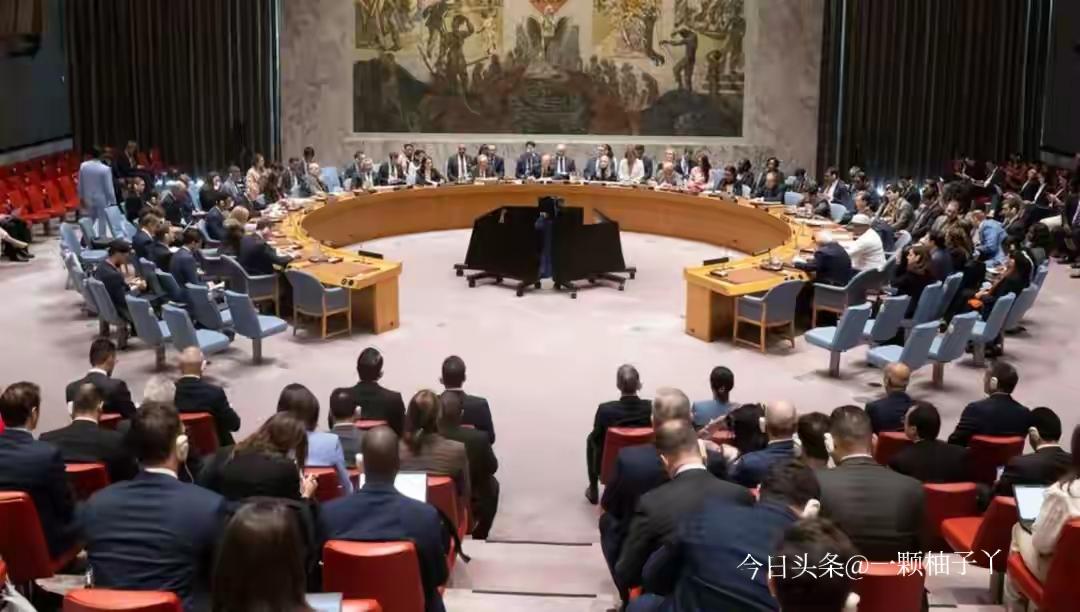 在联合国安理会近期召开的巴以问题会议上，加沙和平委员会首次进行正式通报，提出了“