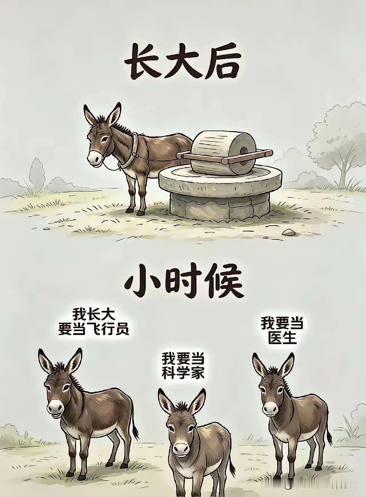 作为一名负责任的自媒体耕耘者，看看到这“四头驴”的时候，我就知道必须要写点东西以