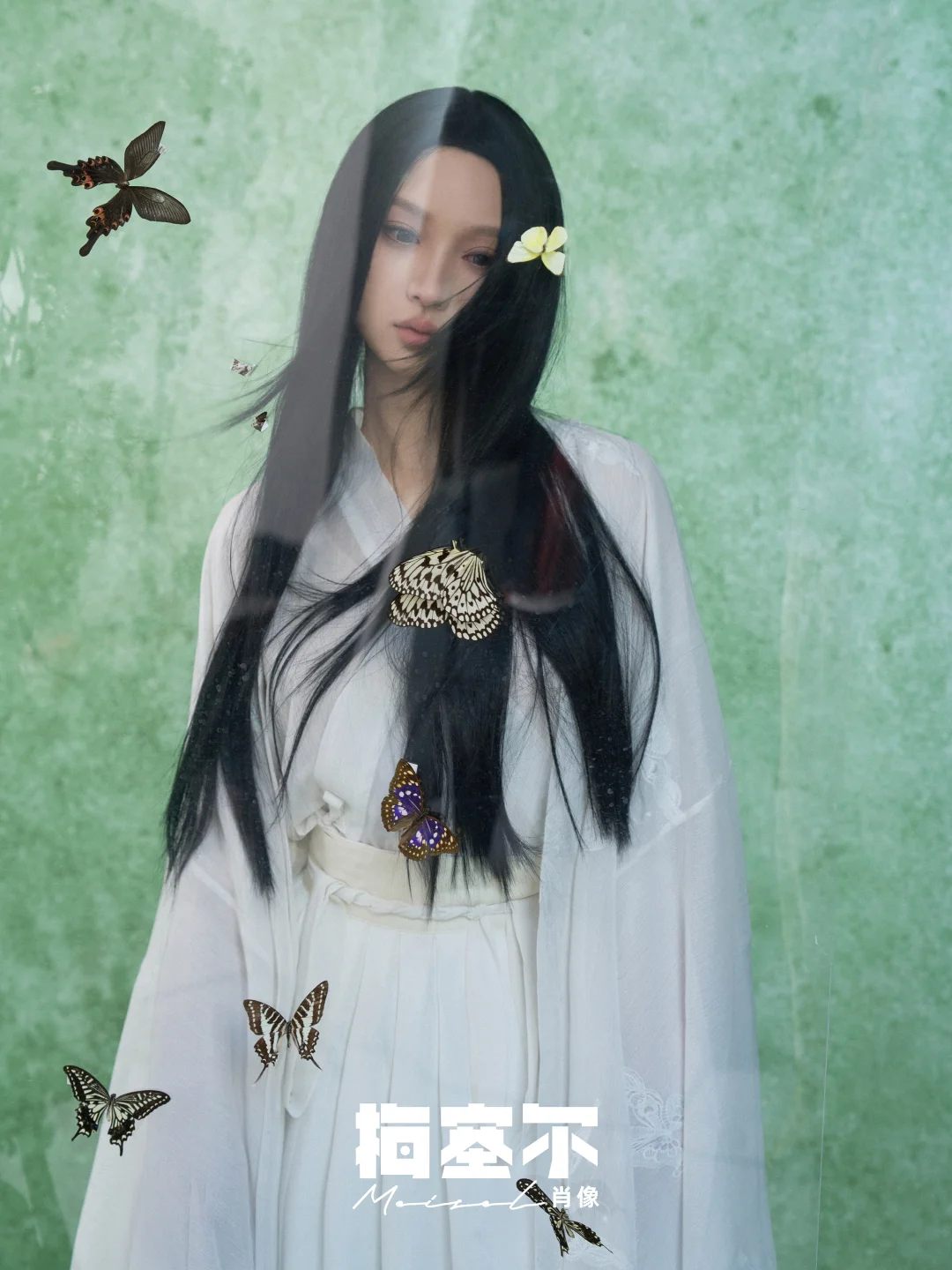🦋蝴蝶会听见春的骨响