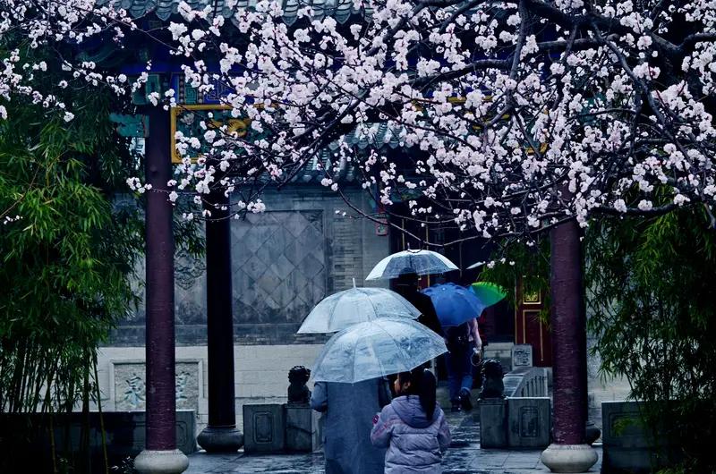 看到“清风有意梳杨柳”这句上联，感觉画面一下子就活了，清风好似有了生命，轻柔地梳