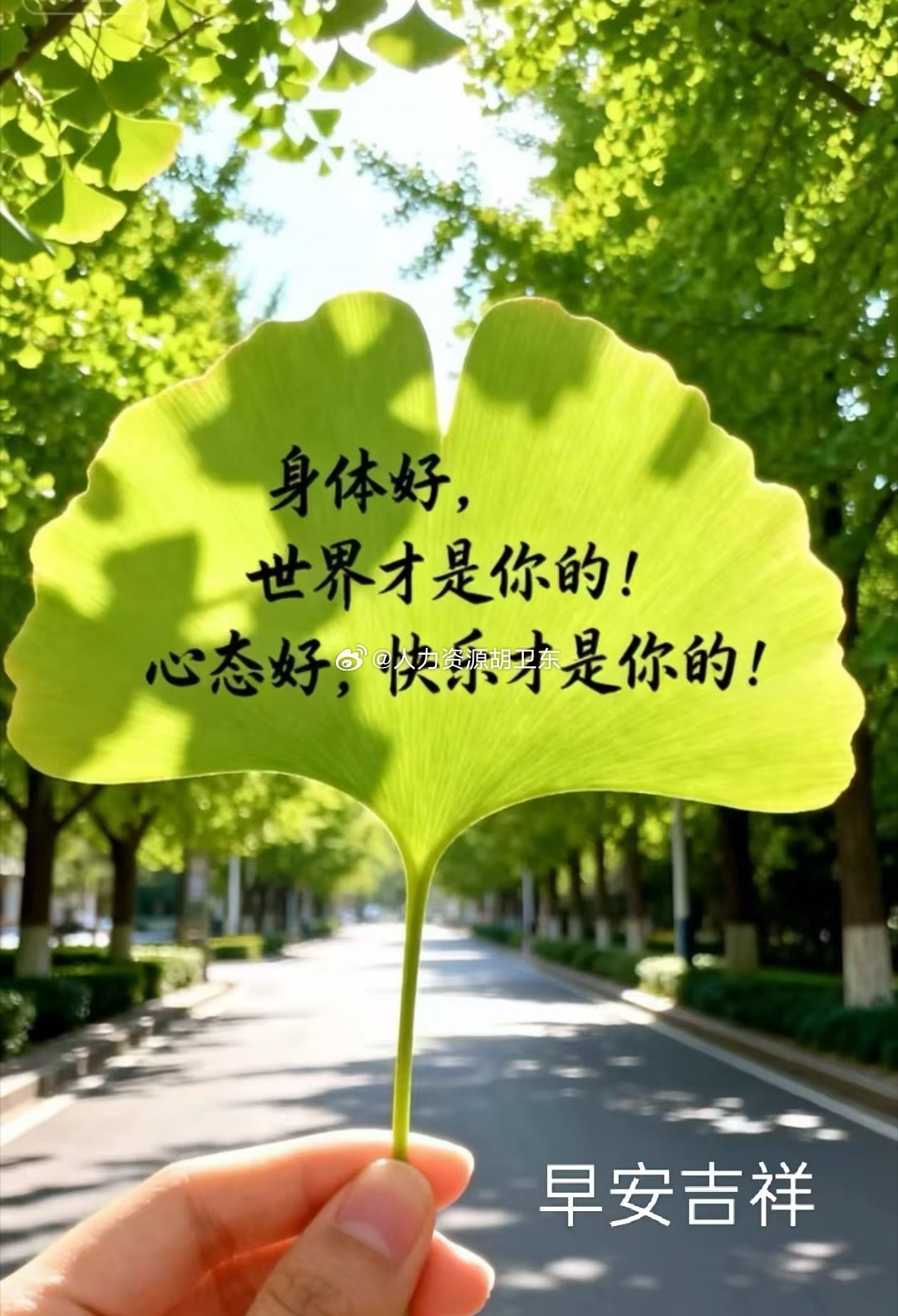 分享图片 