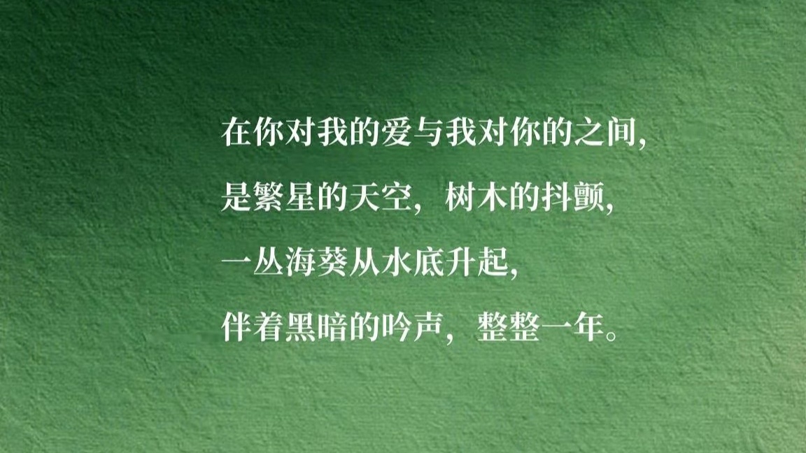 Kore-V 在你对我的爱与我对你的之间，是繁星的天空，树木的抖颤，一丛海葵从水