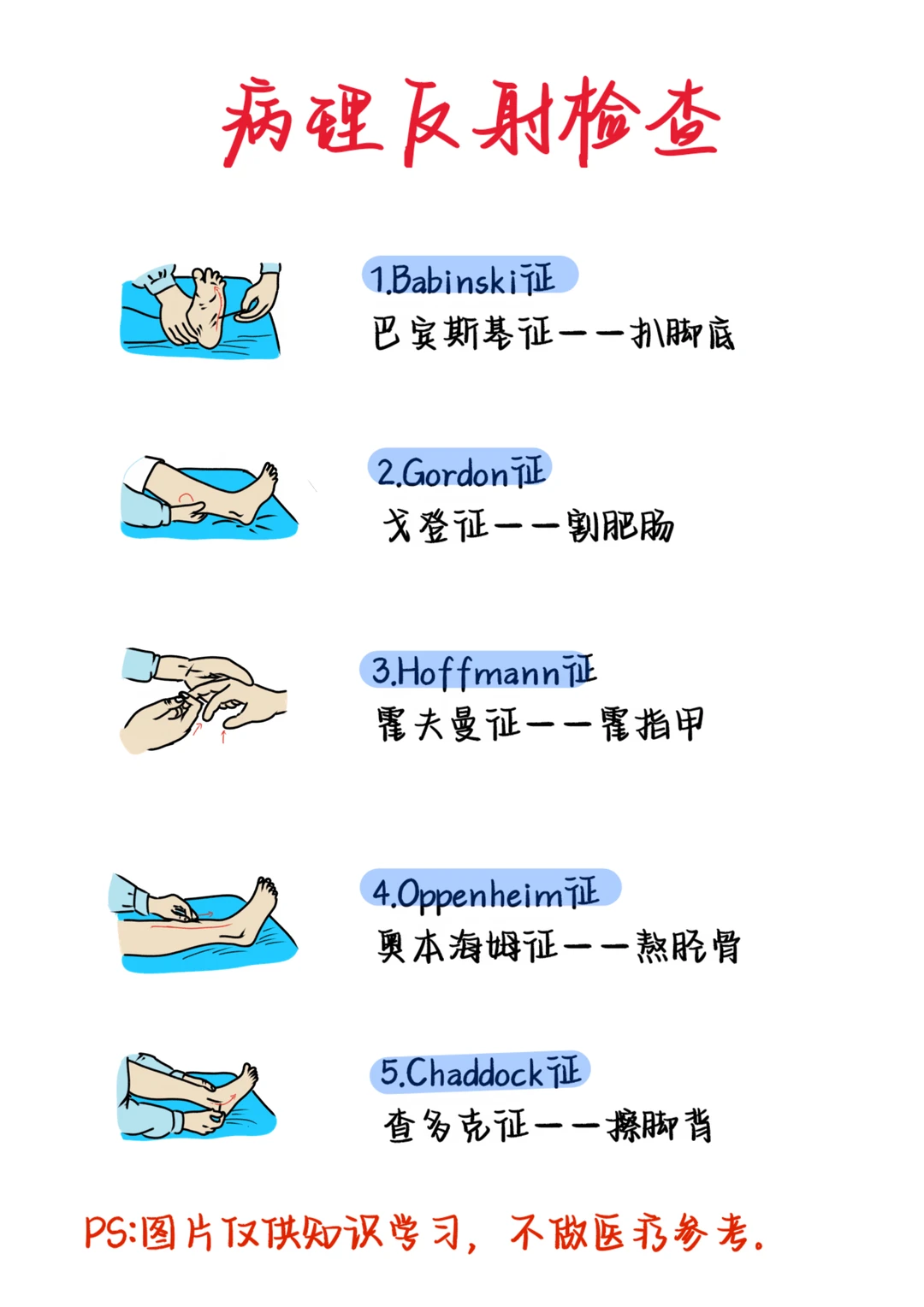 医学生笔记——病理反射检查
