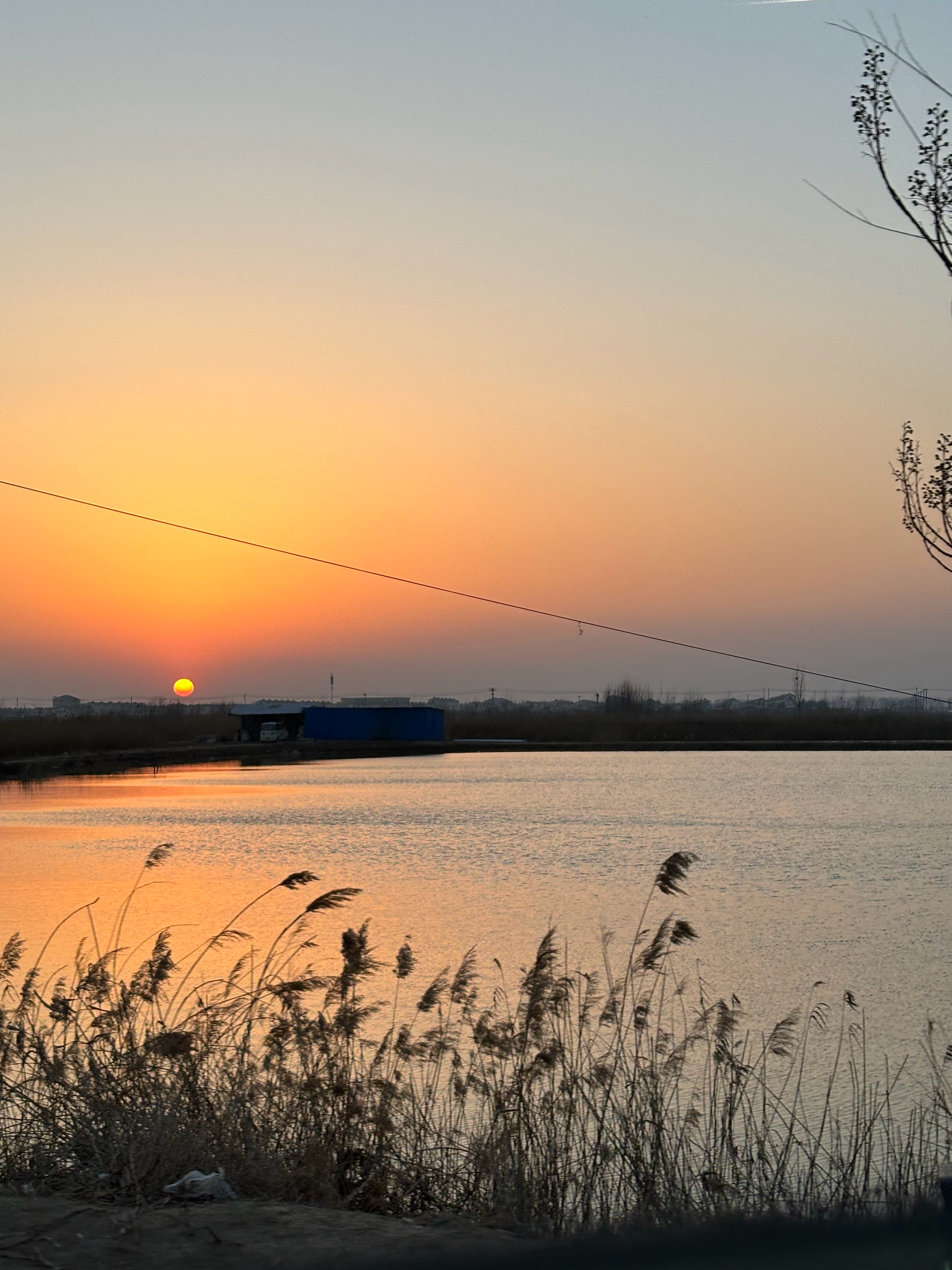 刚看了一下数据，今年春节国内出游5.96亿人次。还好我过年期间就挑了几个离家近的
