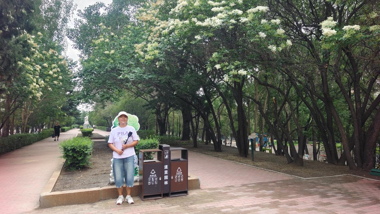 顾乡大坝的爆马丁香全都开了，上周来只开了几朵，仅仅才一周，花开花落，有的爆马丁香