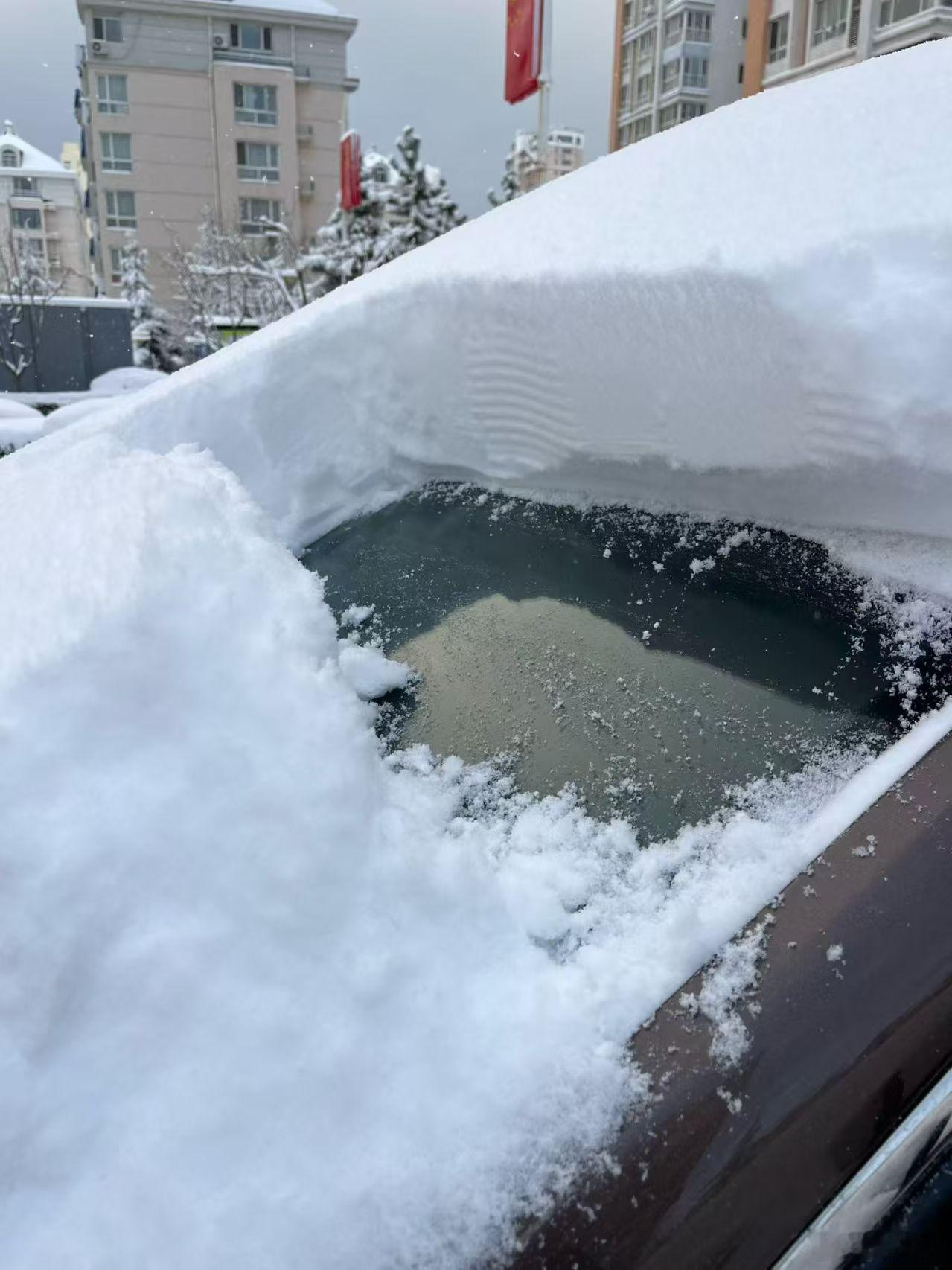 你拍到2026第一场雪了吗不记得哪年的雪了，早上起来就这样了。 