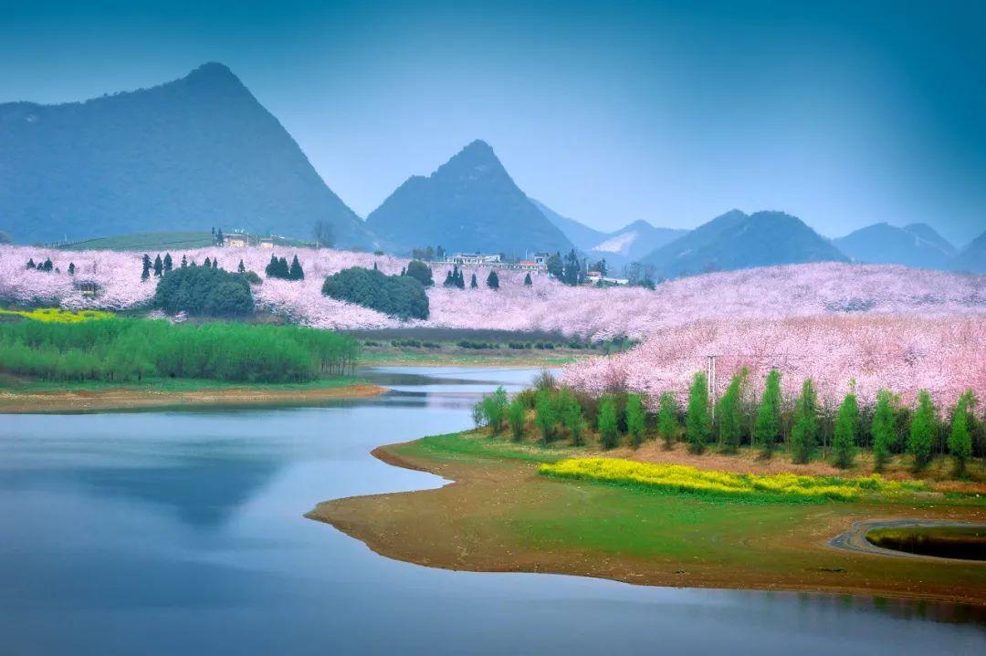 134人中毒：台湾高雄春卷案，每一个都可能发生在你身上
134人。
这是台湾高雄