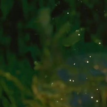 阳光信用 阳光信用每日一善 善良，是人性中最璀璨的光。它无需华丽的修饰，可温暖孤