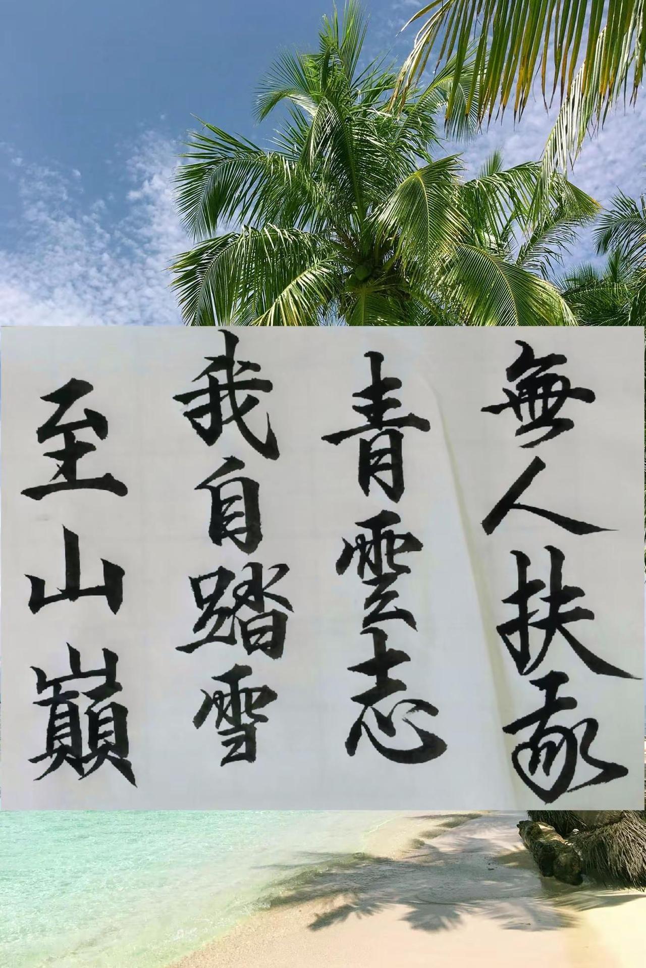 无人扶我青云志我自踏雪至山巅。书法与诗词的完美结合