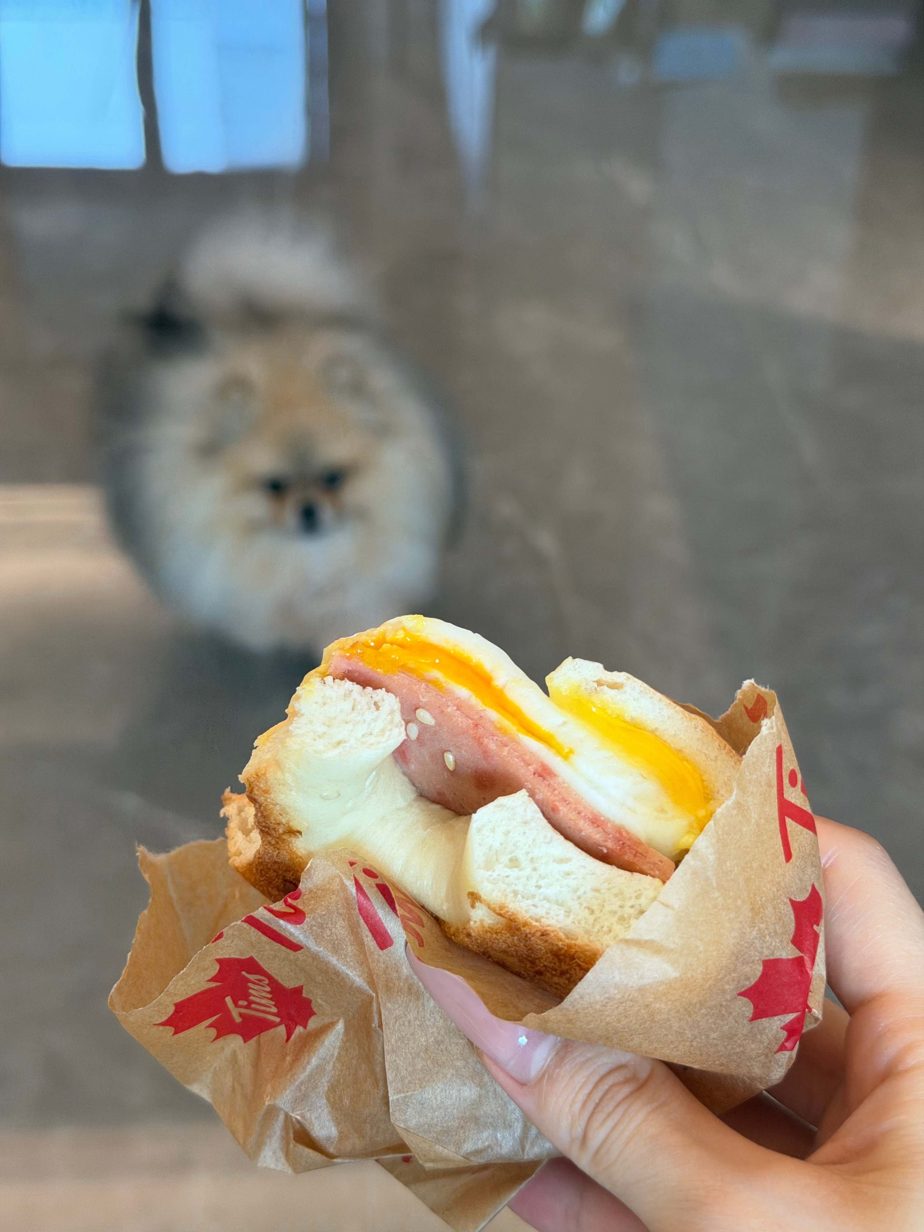 九老师准备上线了 