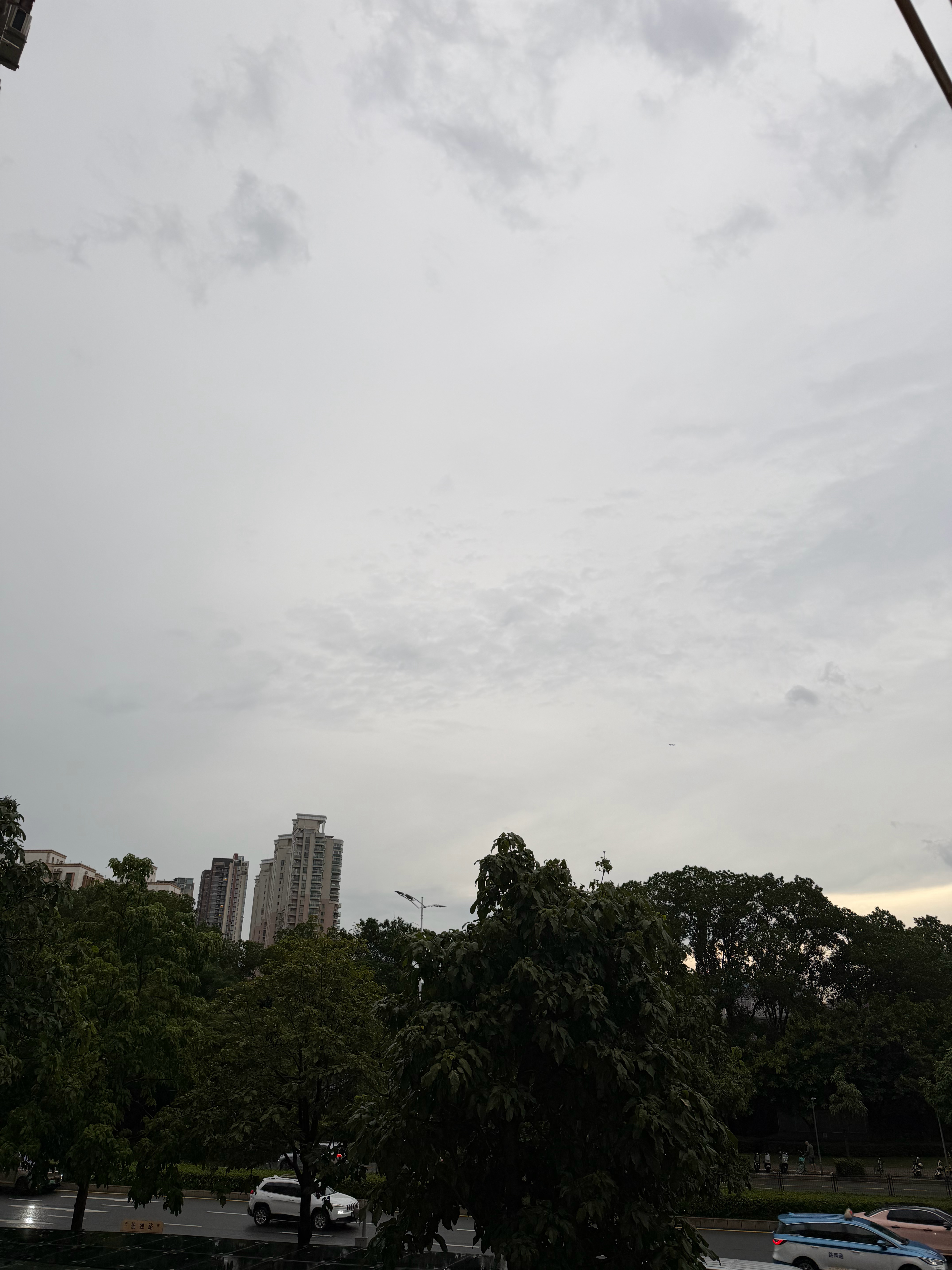 台风红霞 这会没下雨，也没刮风，安静，有点瘆人
