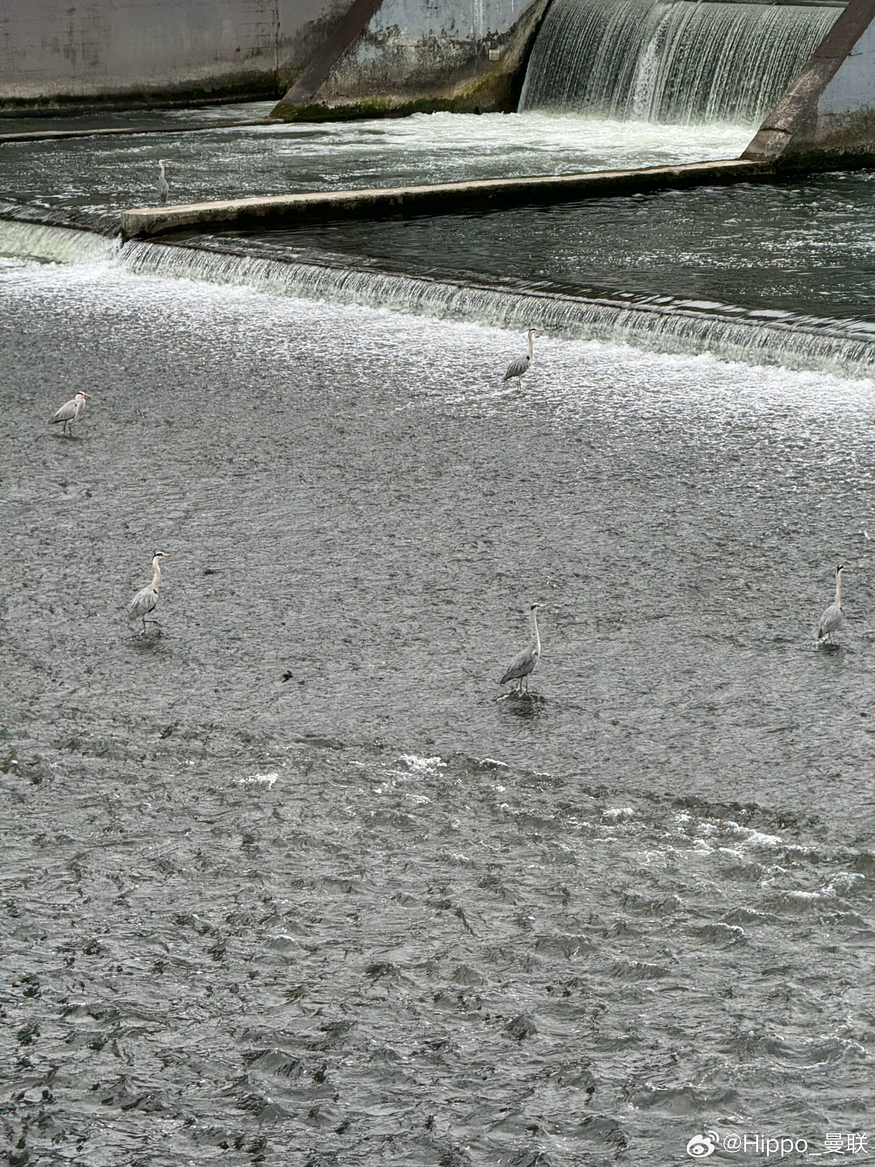 川流有息 出自无印良品 成都·九眼桥