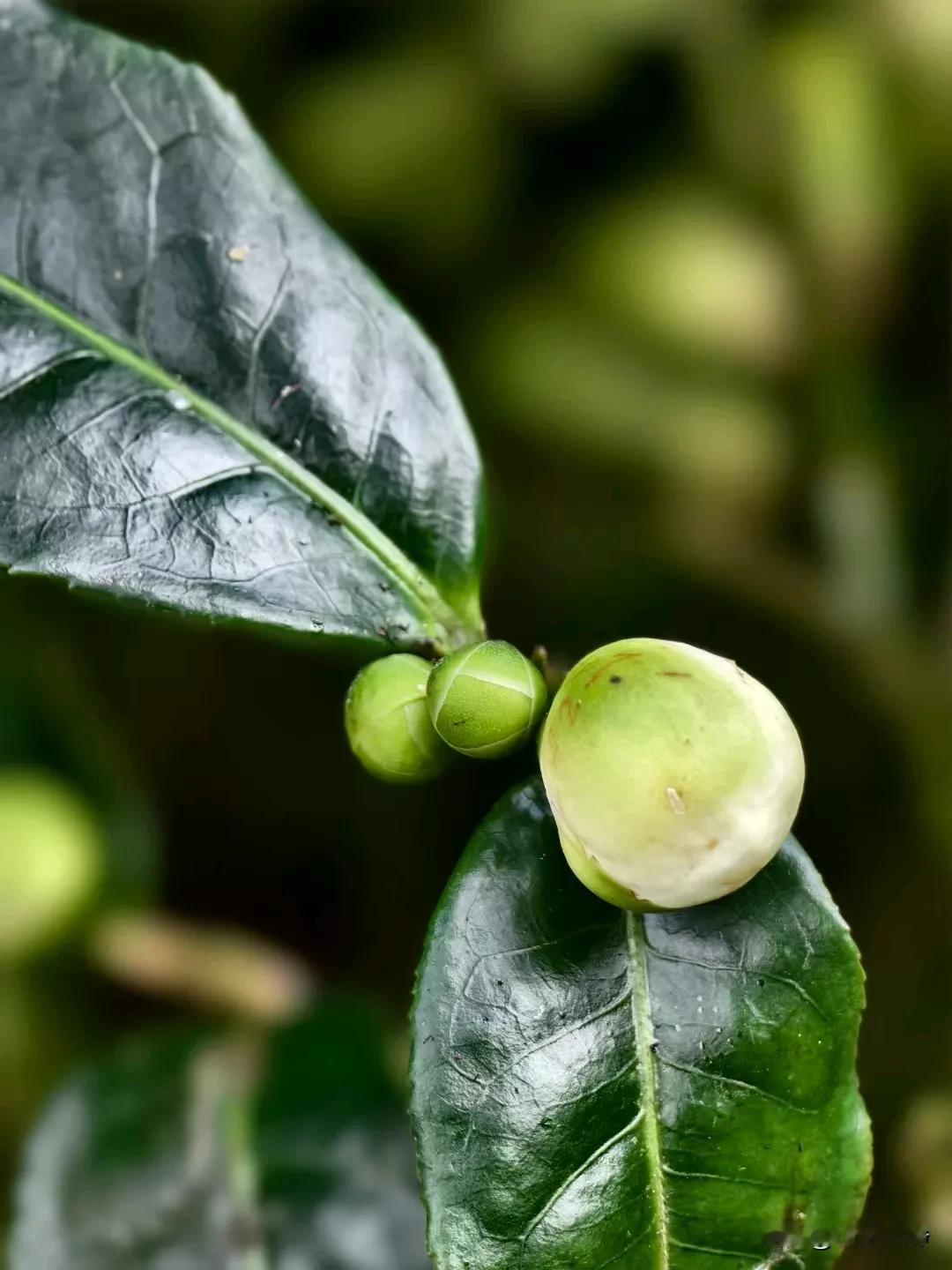 时光之里，知遇有你，
感恩缘份，结识你是人生之财富，因为有你，方得诗意人生。
愿