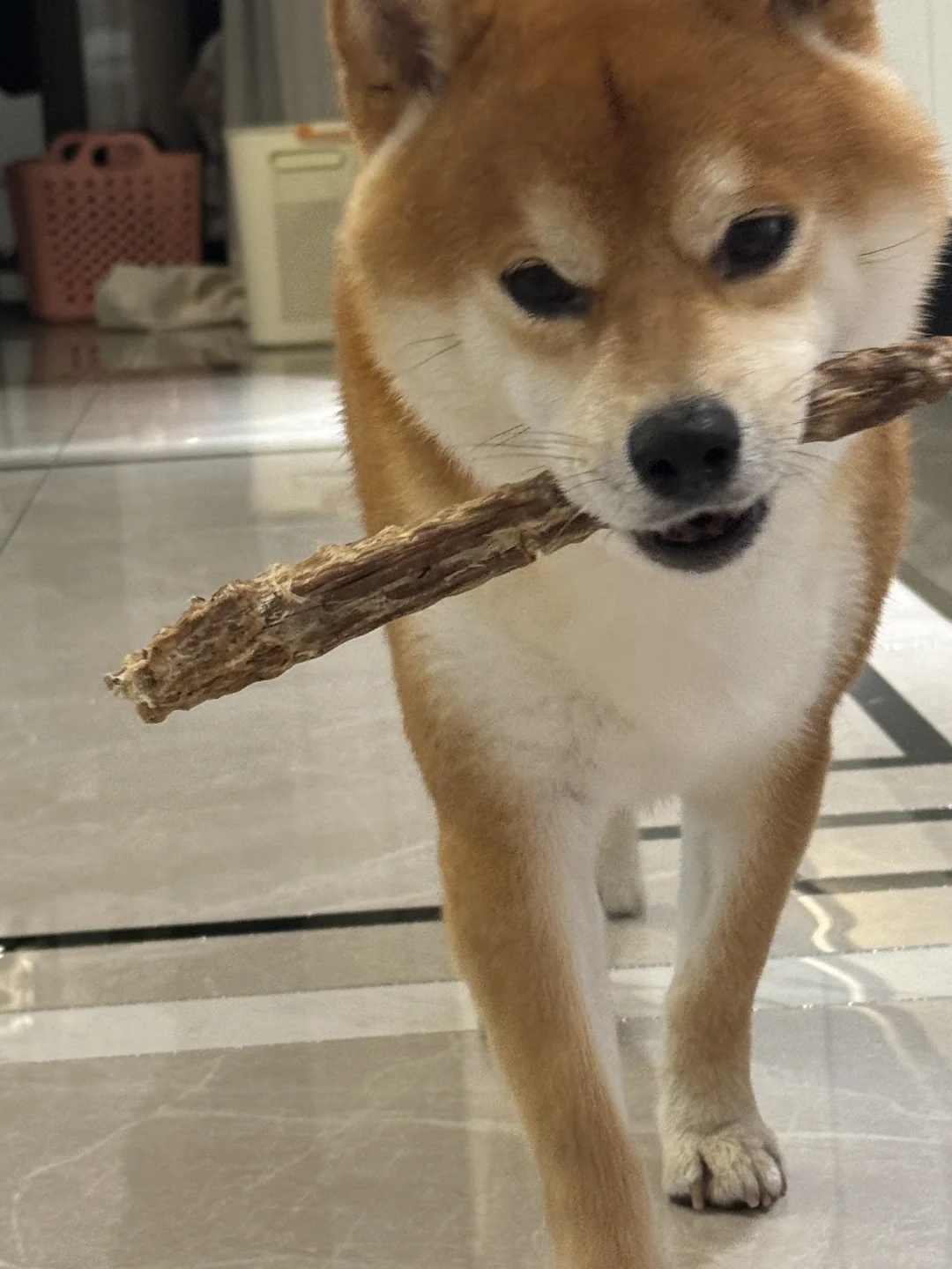 仗剑走天涯