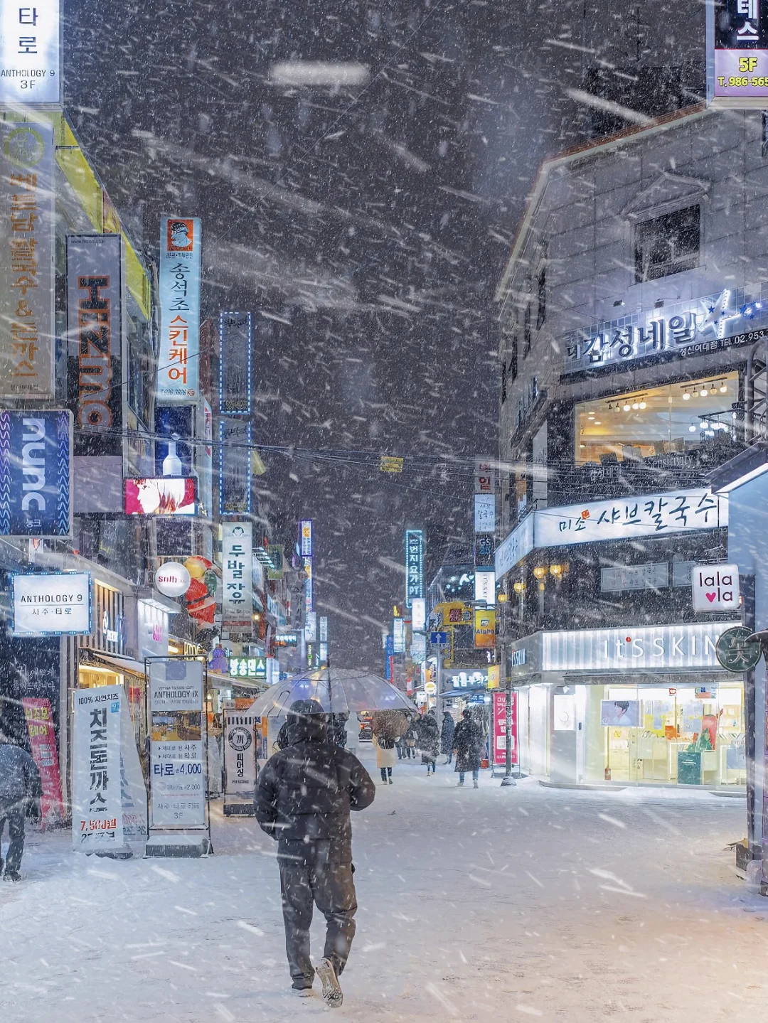 首尔旅行❄️人均200 步行到明洞的超赞民宿！