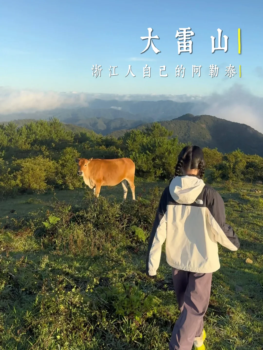 大雷山诚不欺我‼️1小时直达山顶看云海 ☁️