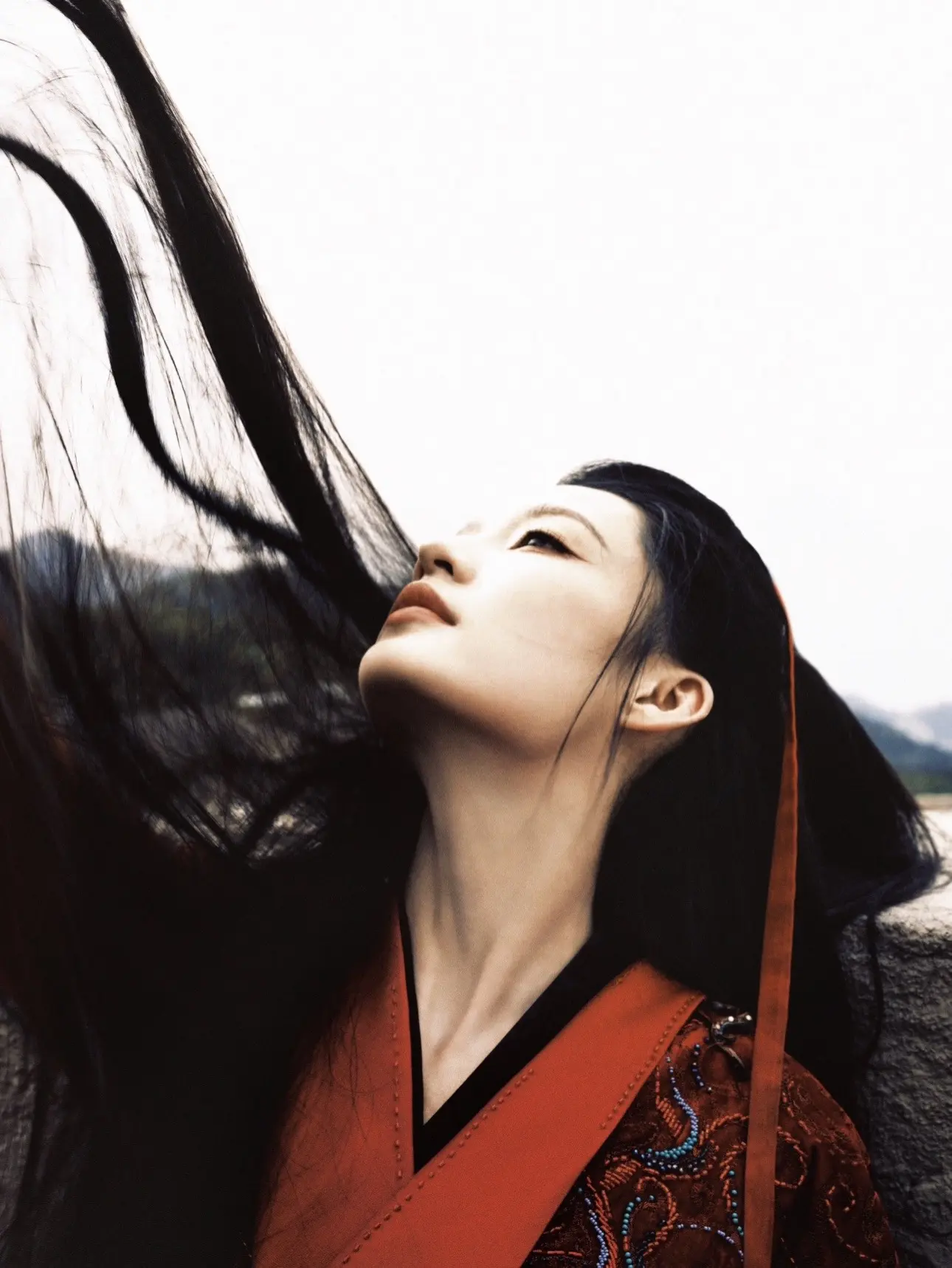 眉眼皆锋，傲骨天成