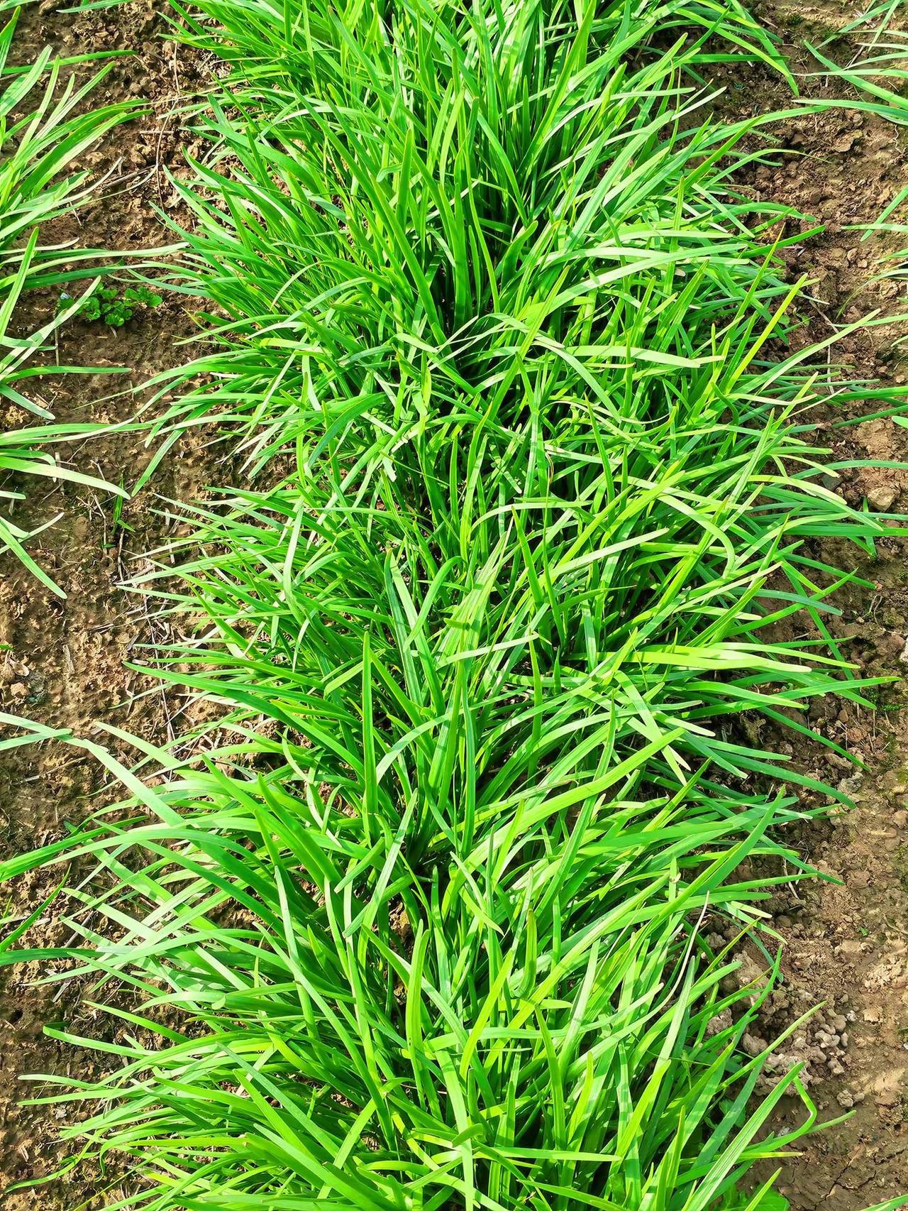 我的摄影日记 我用摄影看世界 随拍空间美学 乡村美景