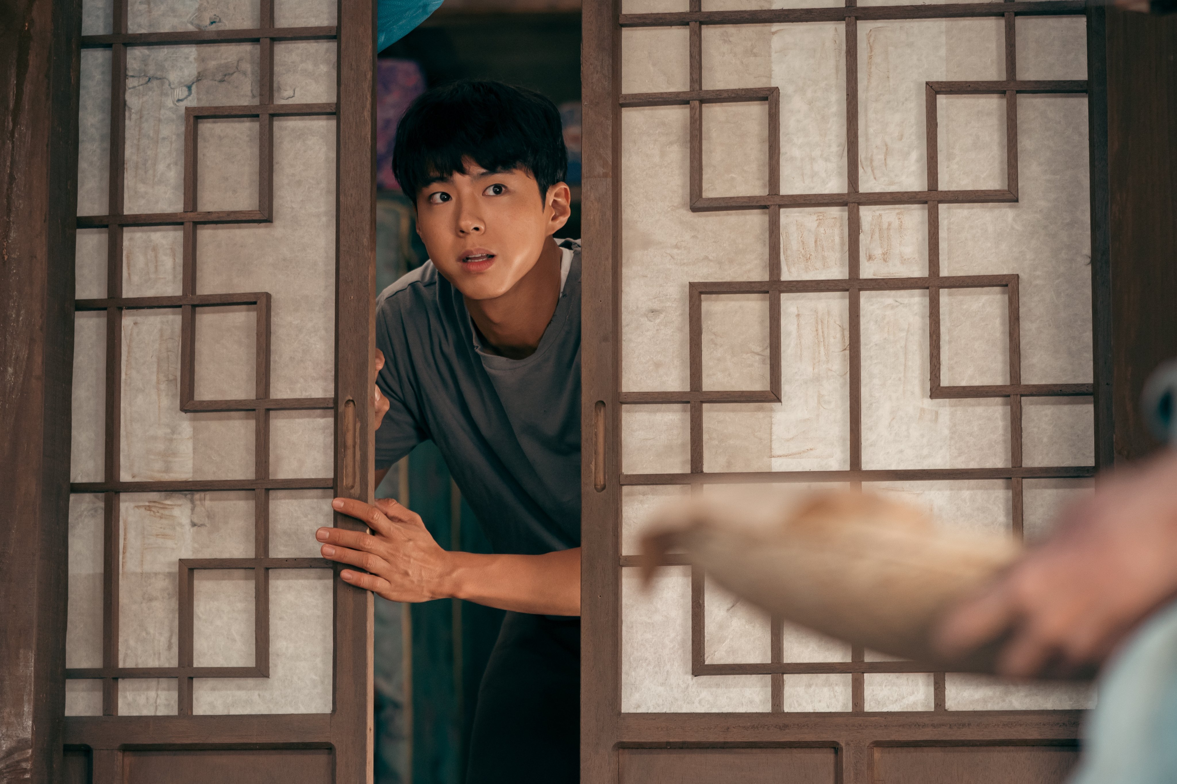你通过哪部作品认识朴宝剑： ​​​